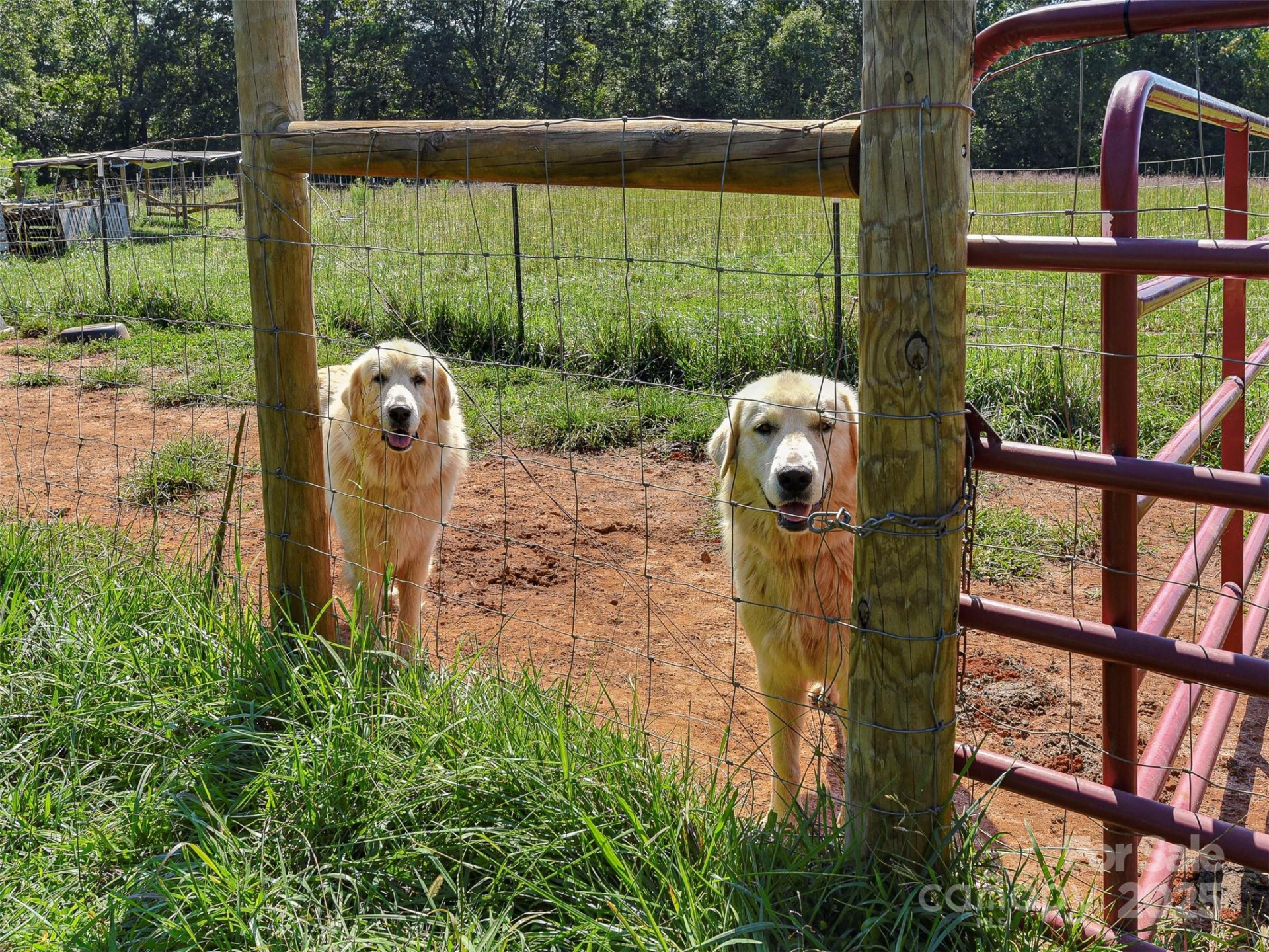 250 Circus Trail - Photo 36