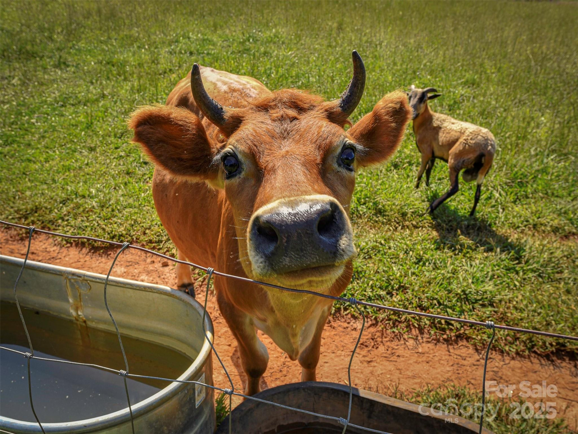 250 Circus Trail - Photo 37