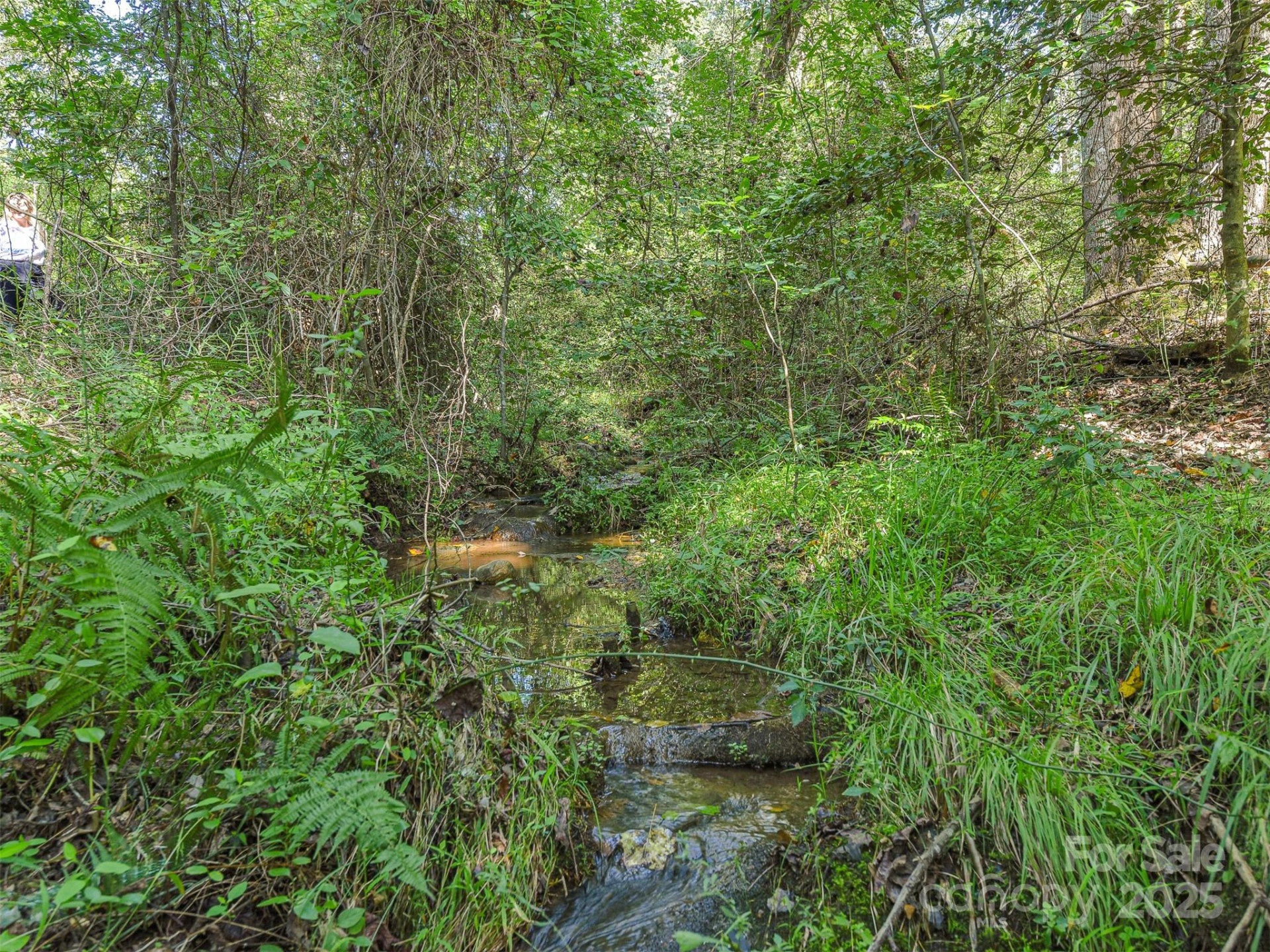 250 Circus Trail - Photo 38