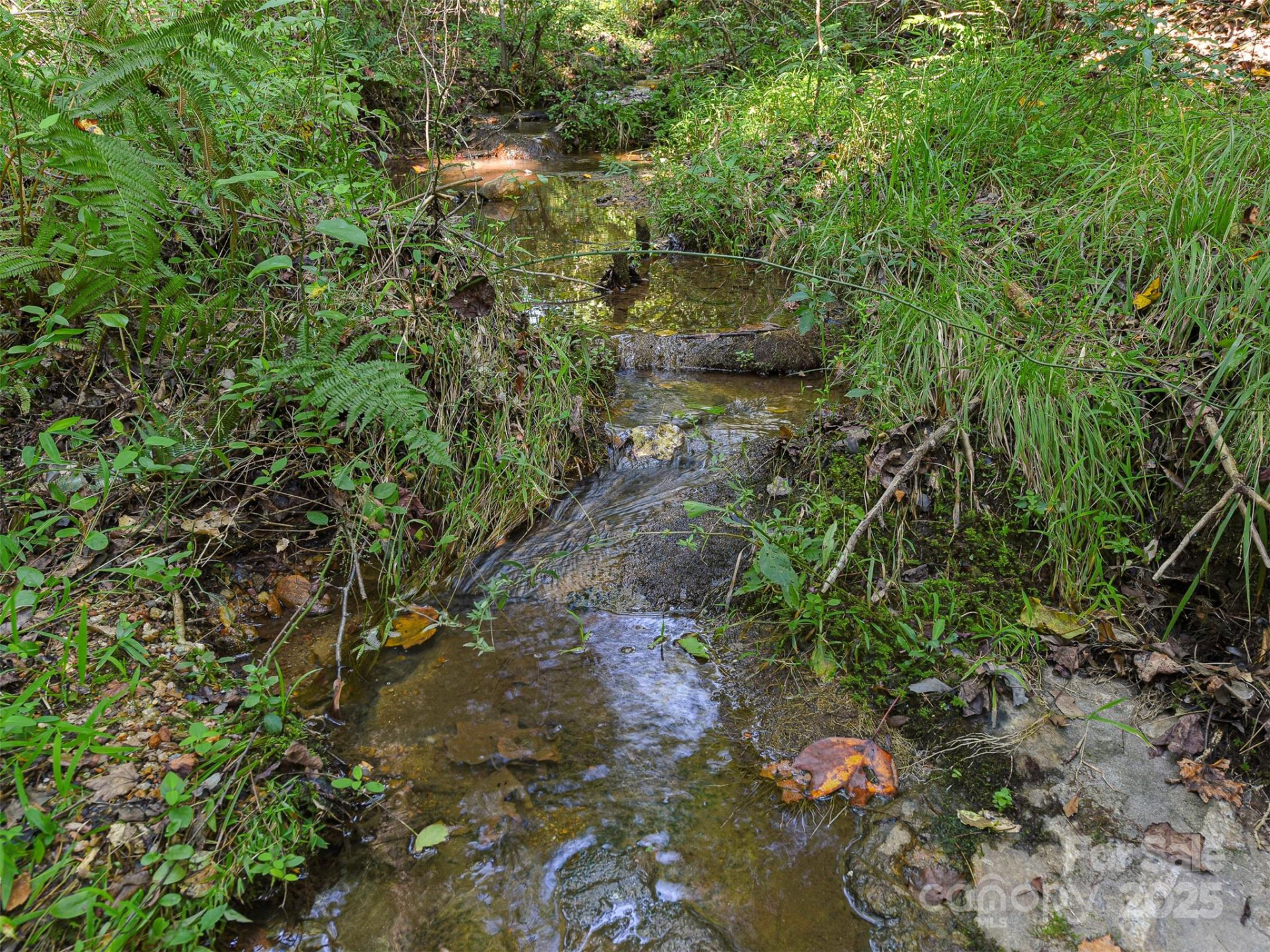 250 Circus Trail - Photo 39