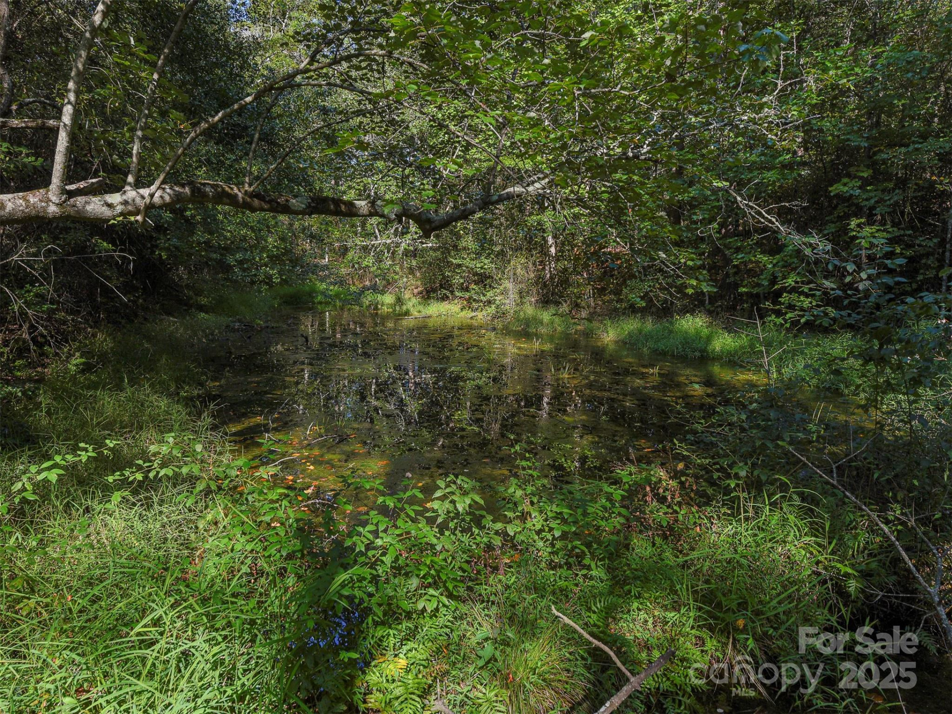 250 Circus Trail - Photo 40