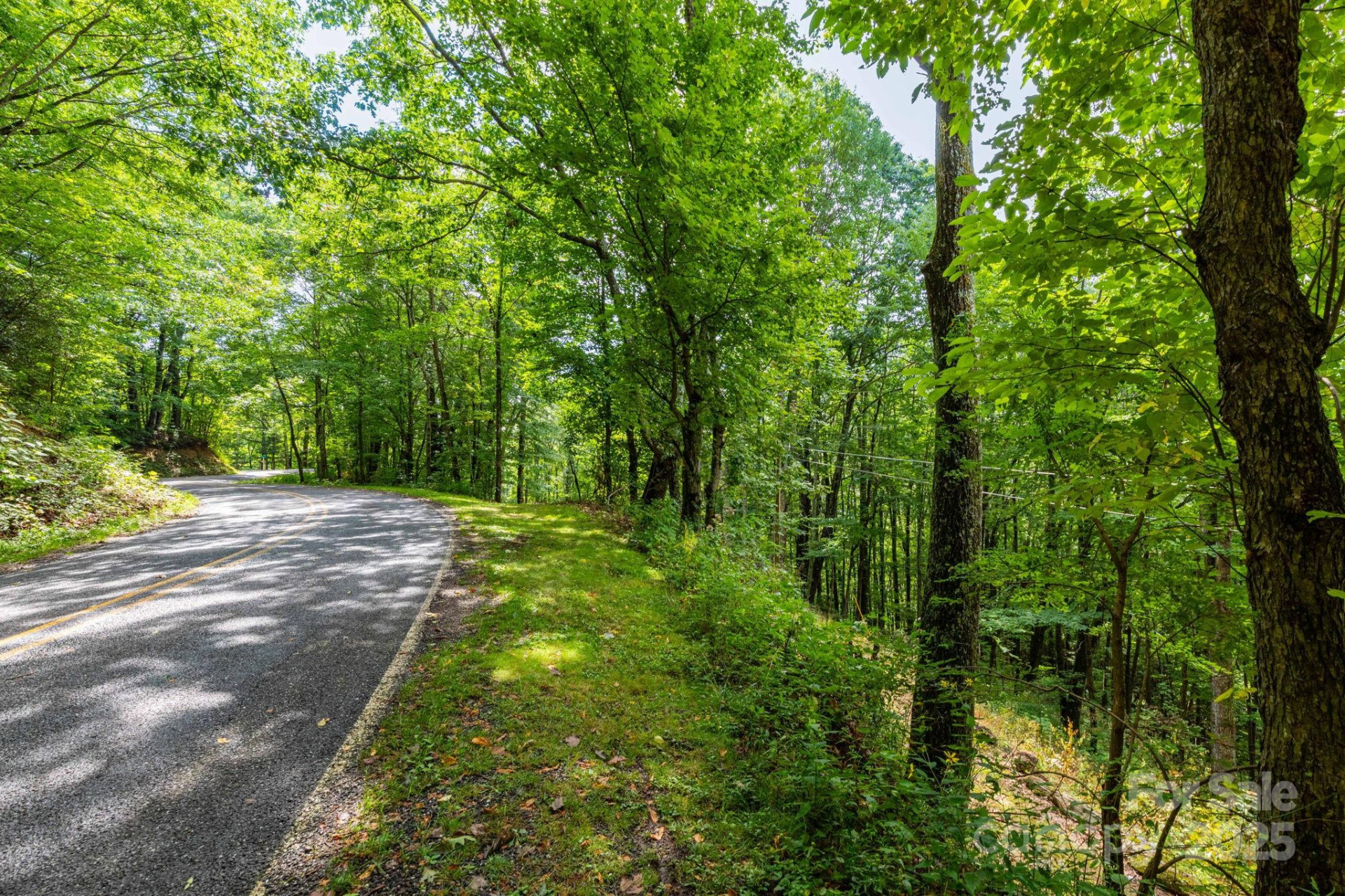 38 Imperial Court - Photo 11