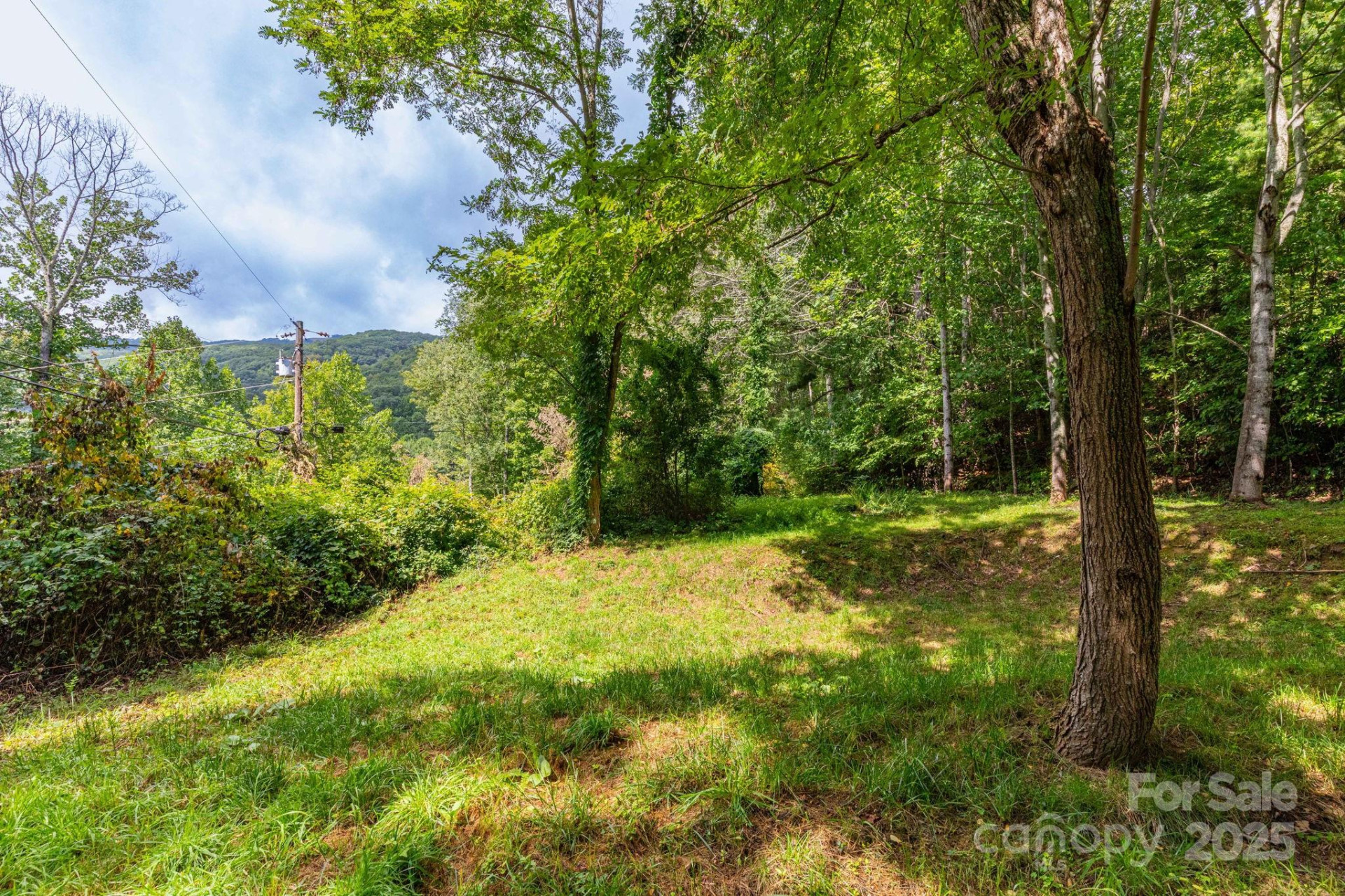 38 Imperial Court - Photo 6