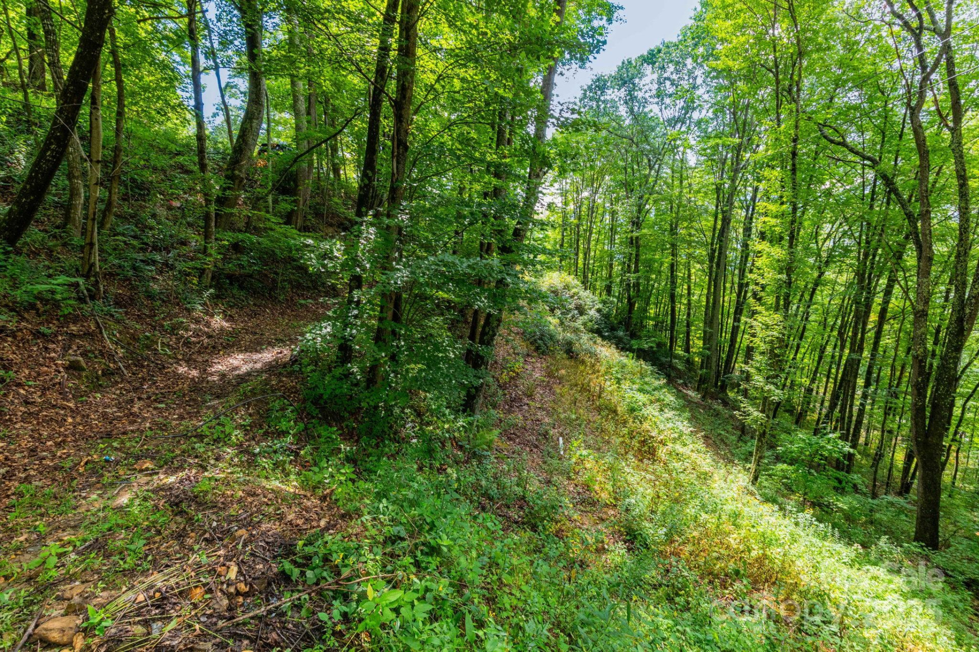 38 Imperial Court - Photo 7