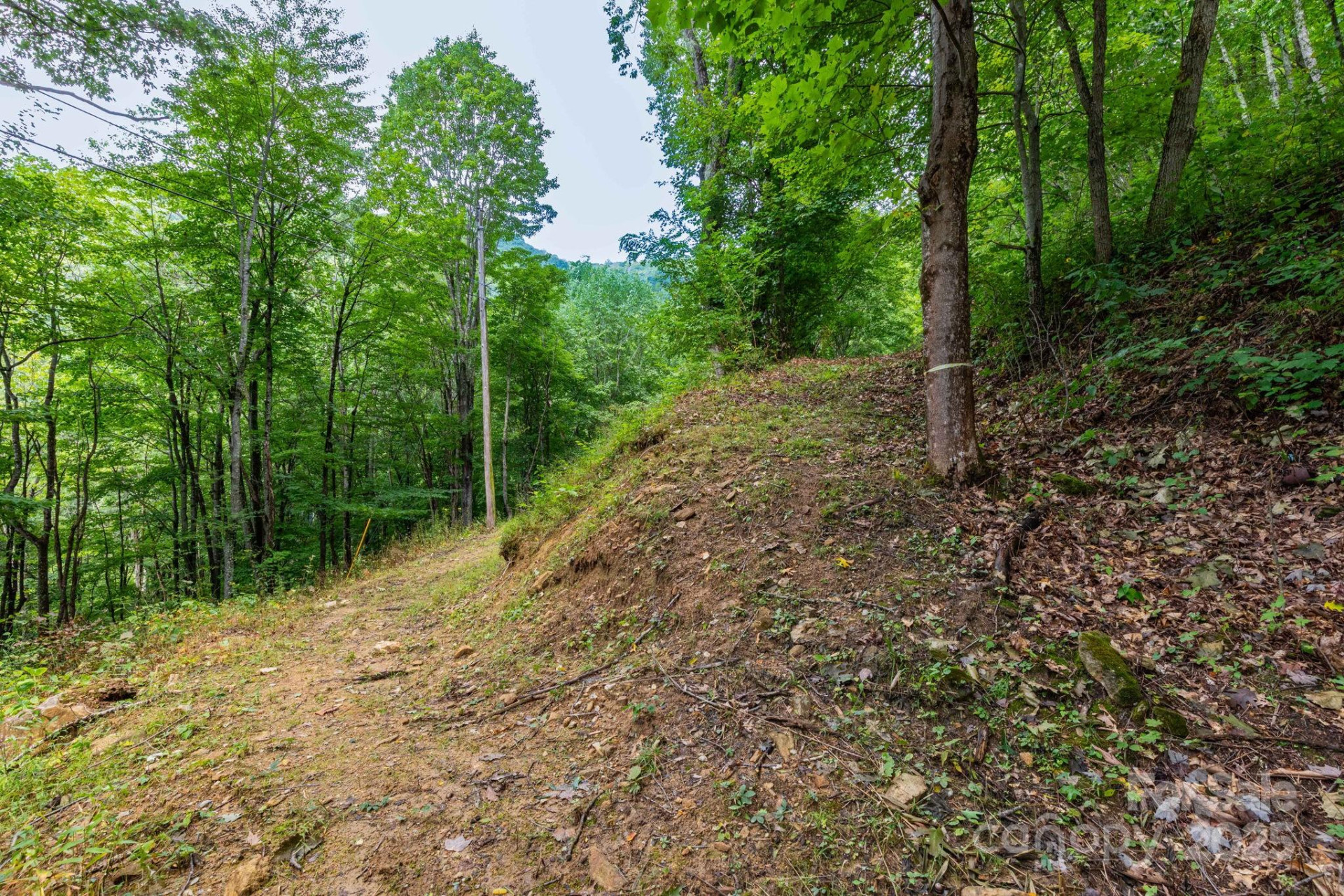 38 Imperial Court - Photo 9