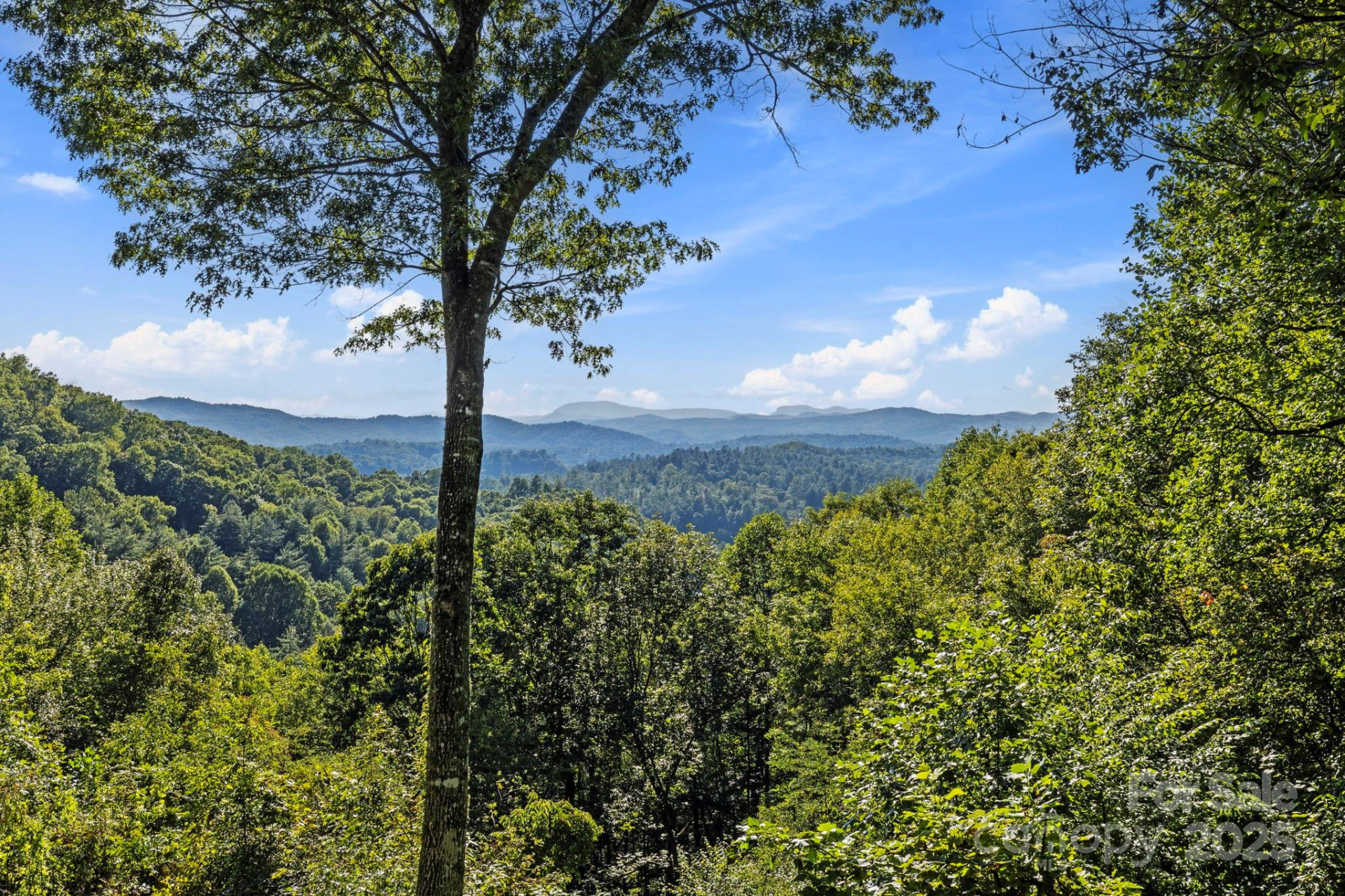 658 Johnson Road - Photo 13