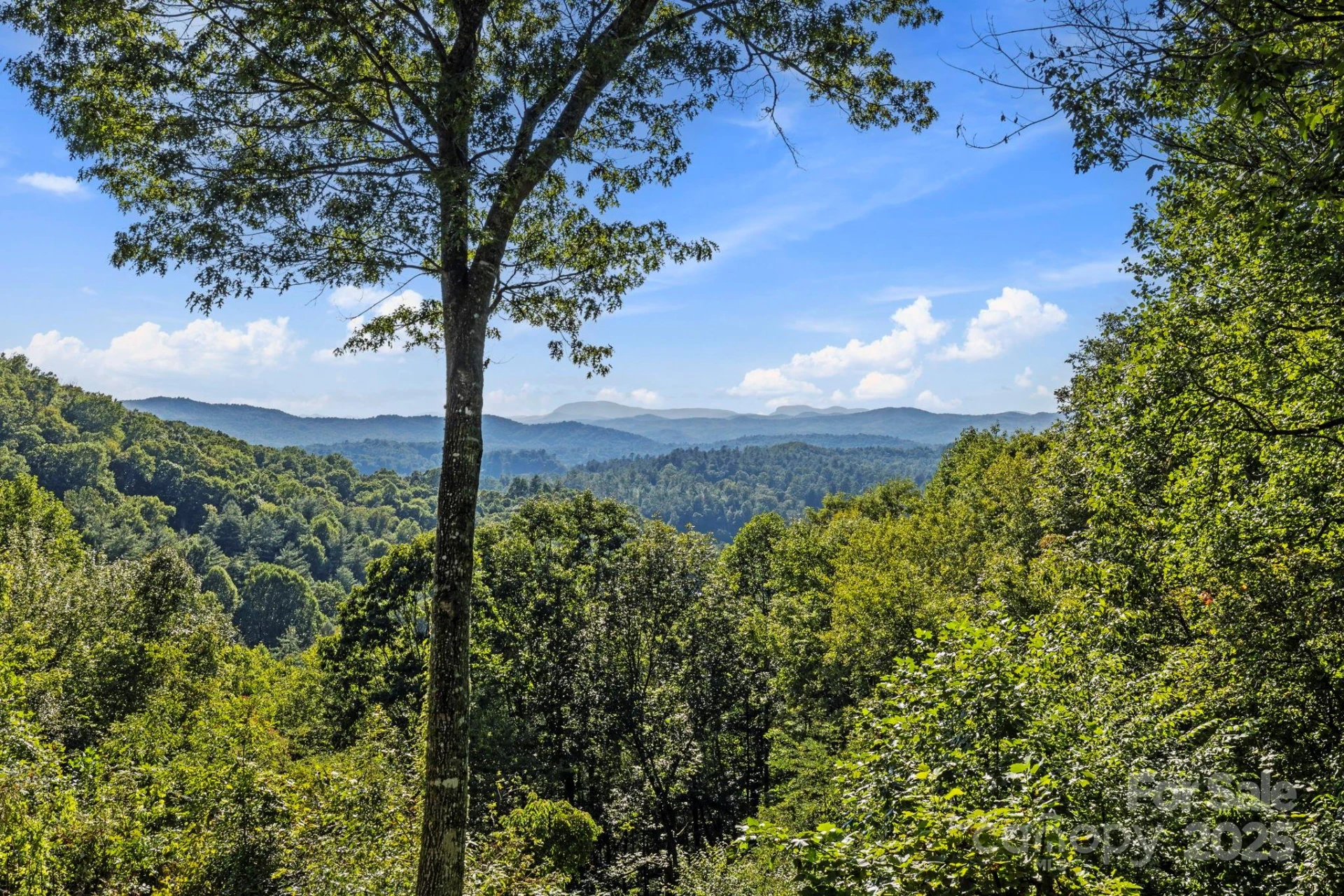 658 Johnson Road - Photo 13