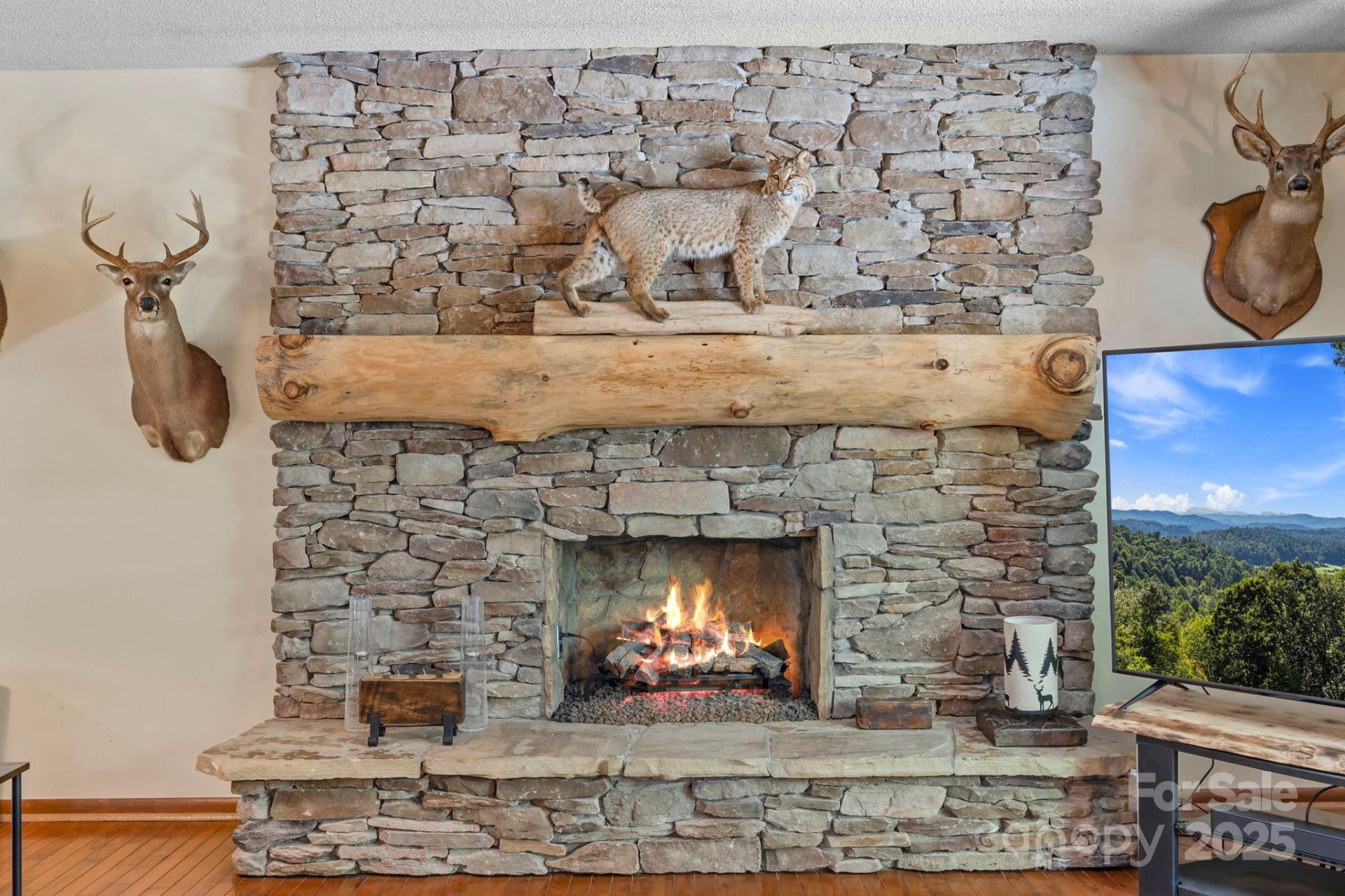 658 Johnson Road - Photo 15