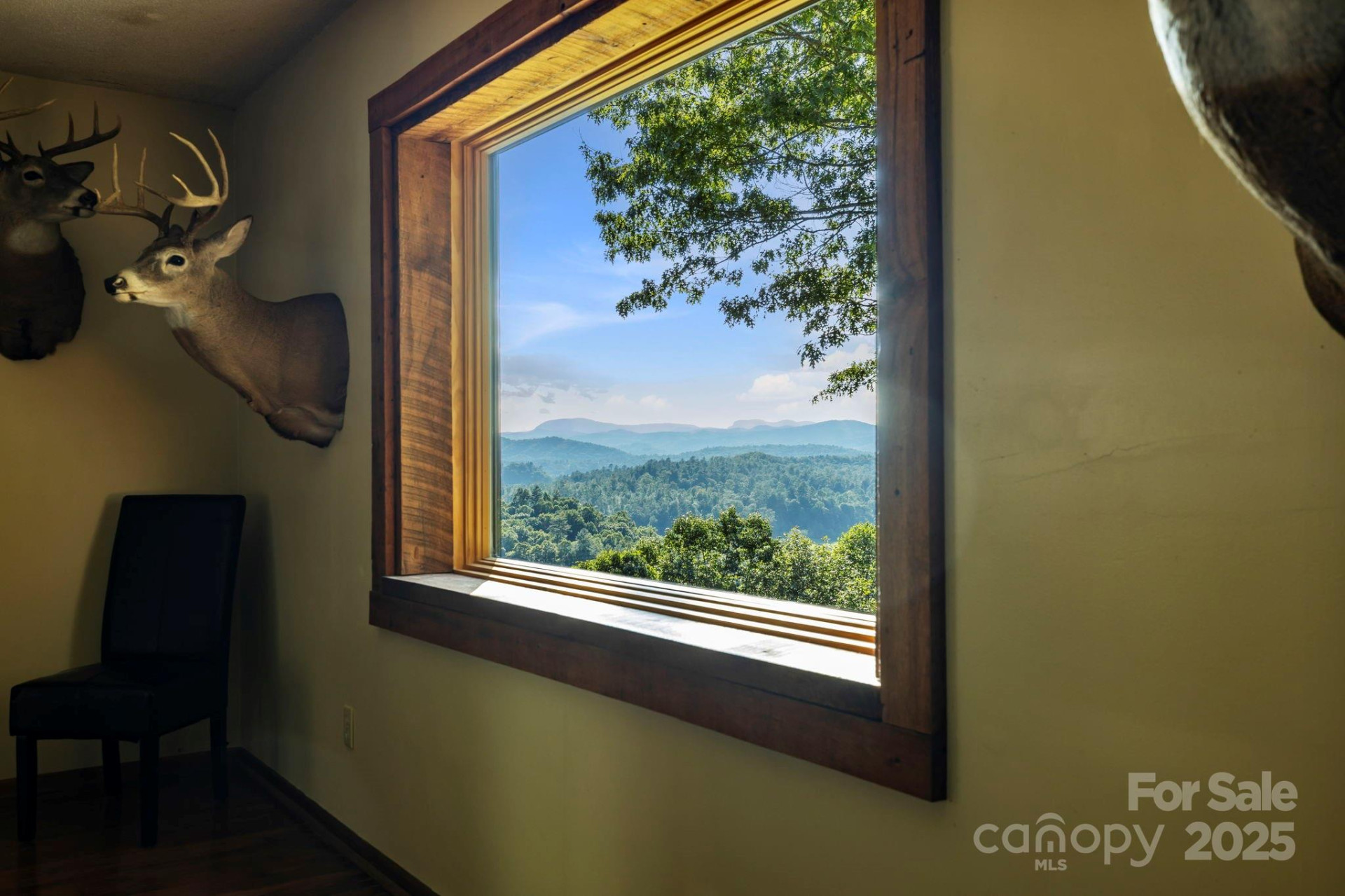 658 Johnson Road - Photo 19