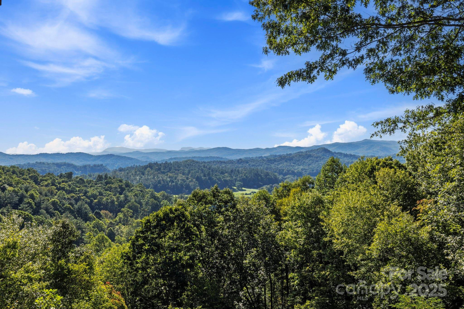 658 Johnson Road - Photo 33