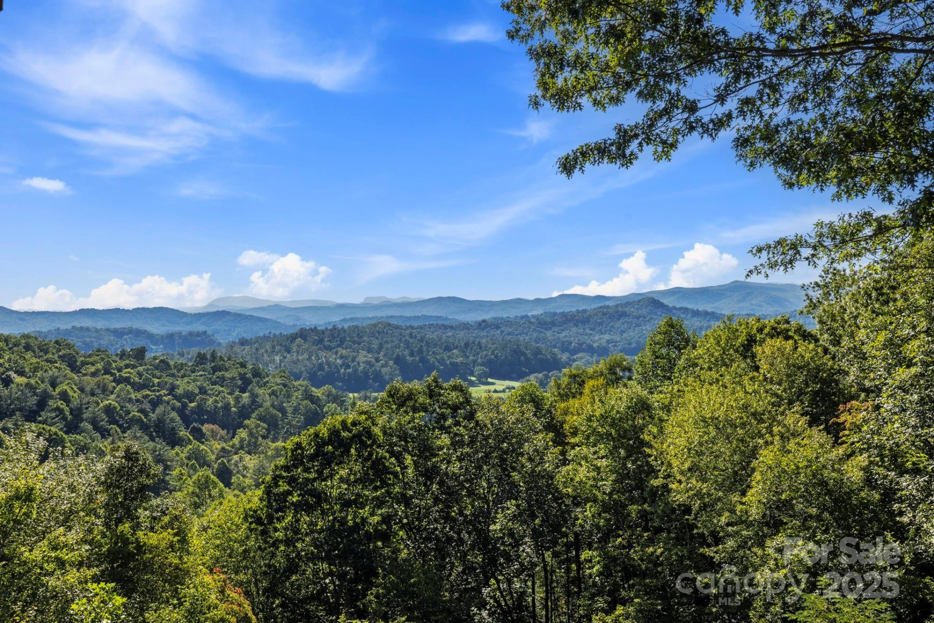 658 Johnson Road - Photo 33