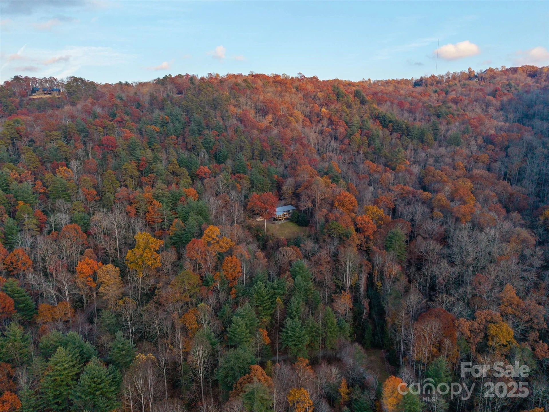 658 Johnson Road - Photo 46
