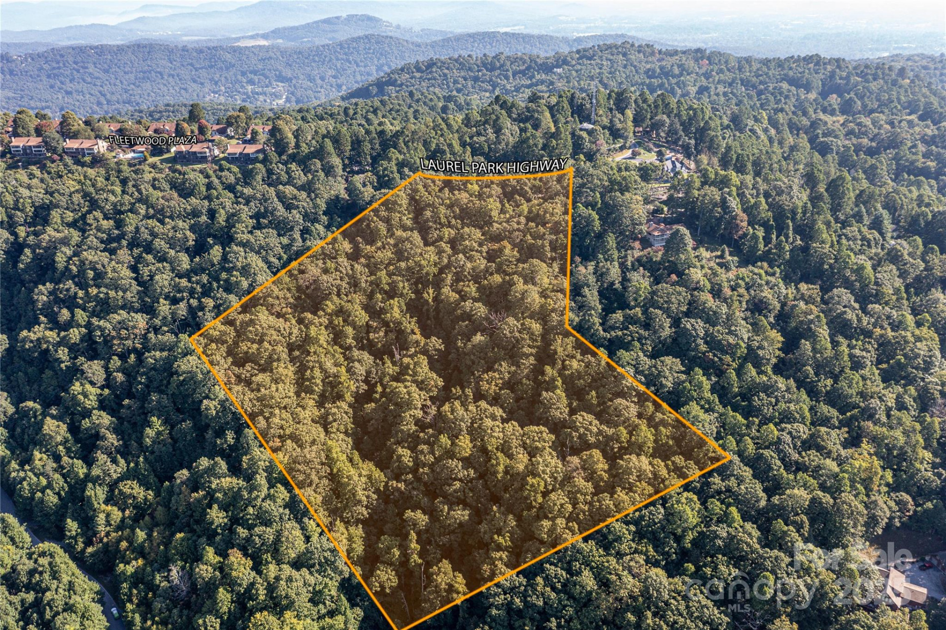 0000 Laurel Park Highway - Photo 2