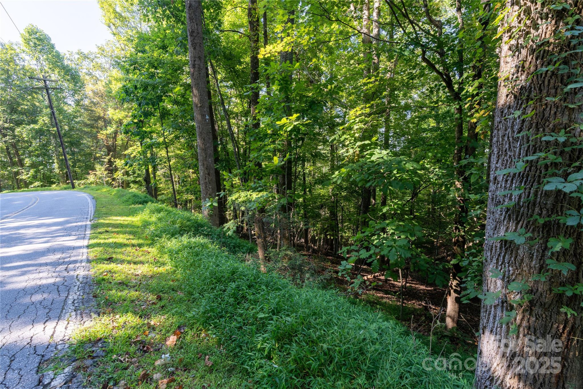 0000 Laurel Park Highway - Photo 11