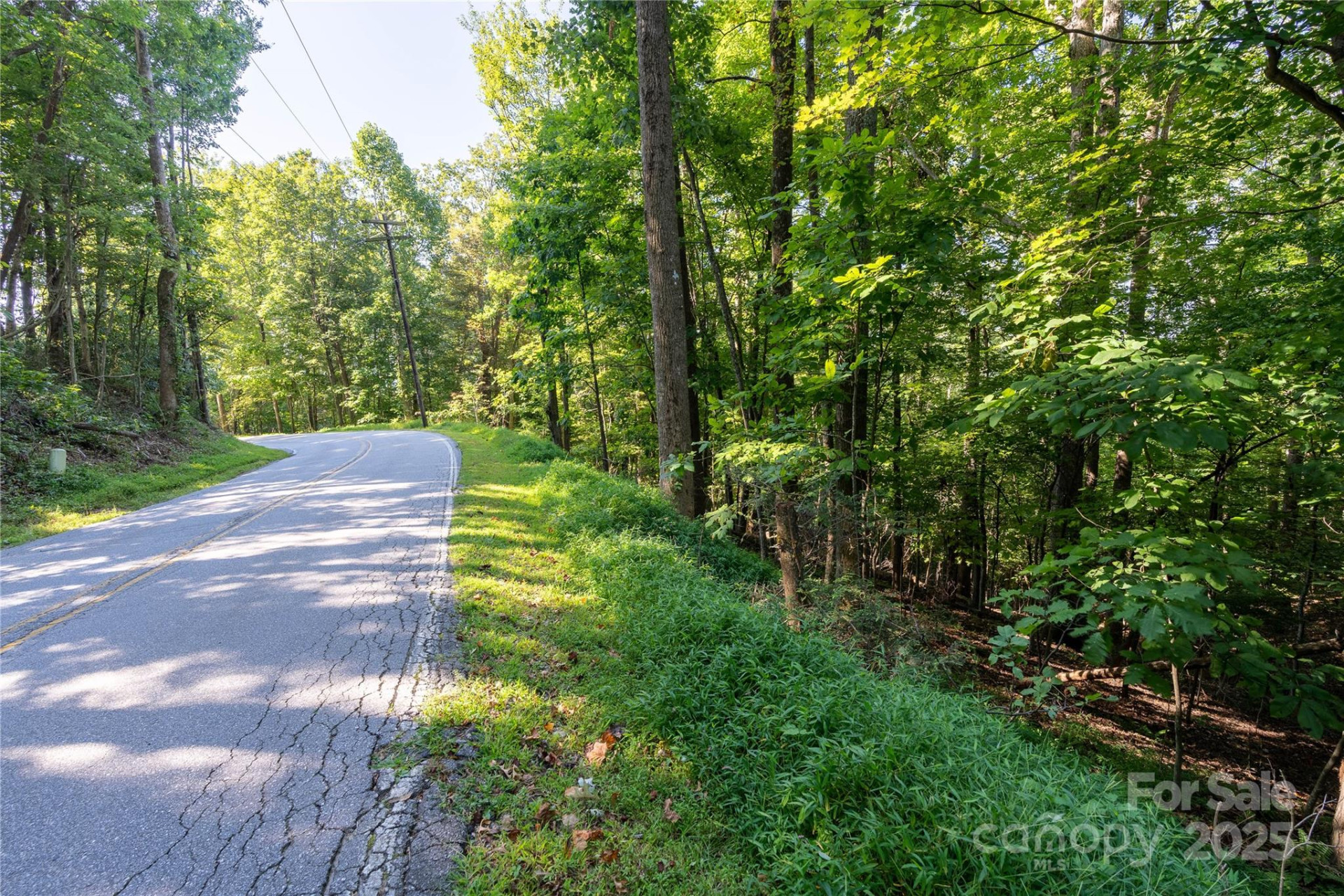 0000 Laurel Park Highway - Photo 12