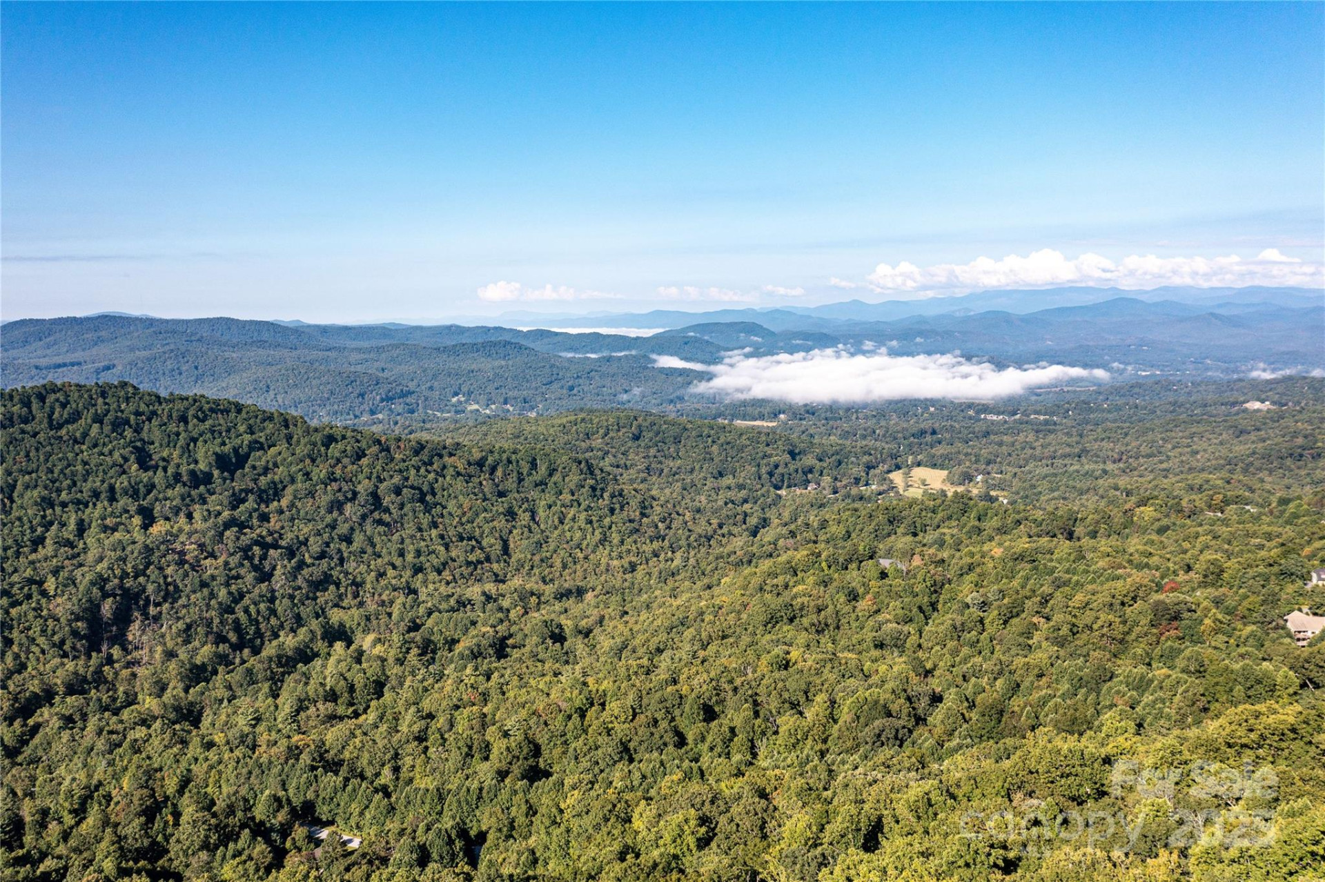 0000 Laurel Park Highway - Photo 6