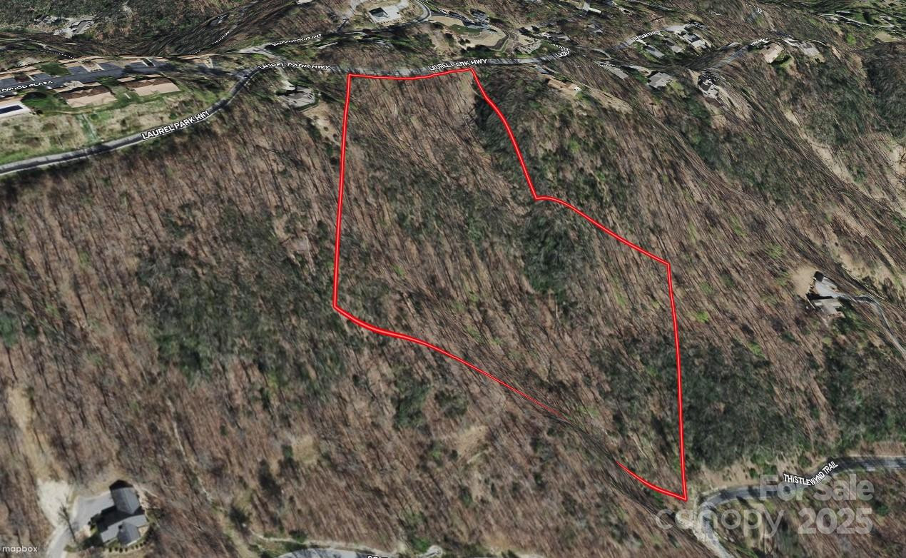 0000 Laurel Park Highway - Photo 9