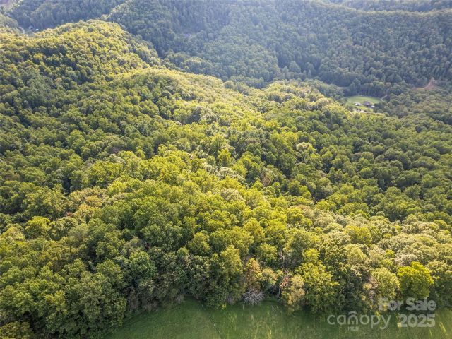 000 Crackin Chestnut Lane