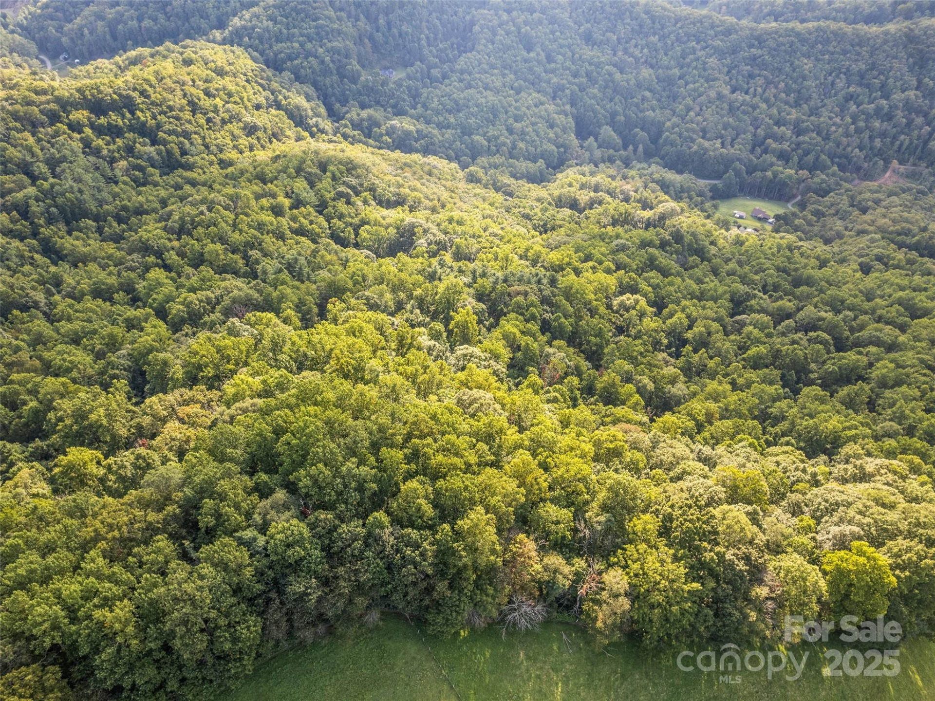 000 Crackin Chestnut Lane