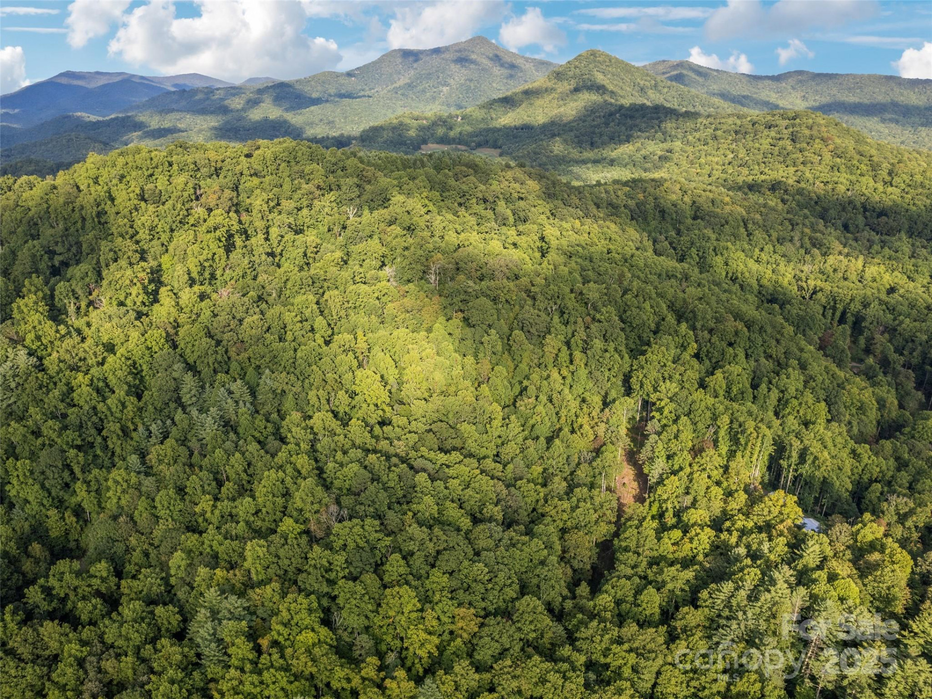 000 Crackin Chestnut Lane - Photo 3