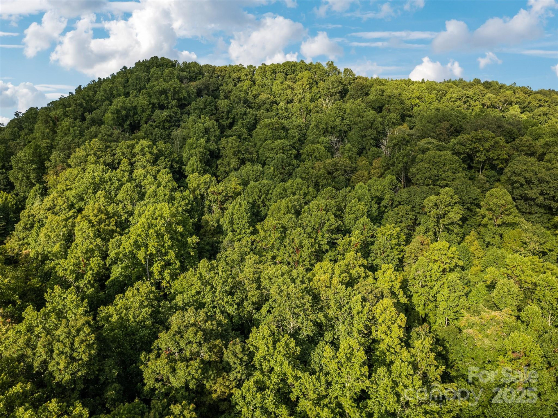 000 Crackin Chestnut Lane - Photo 4