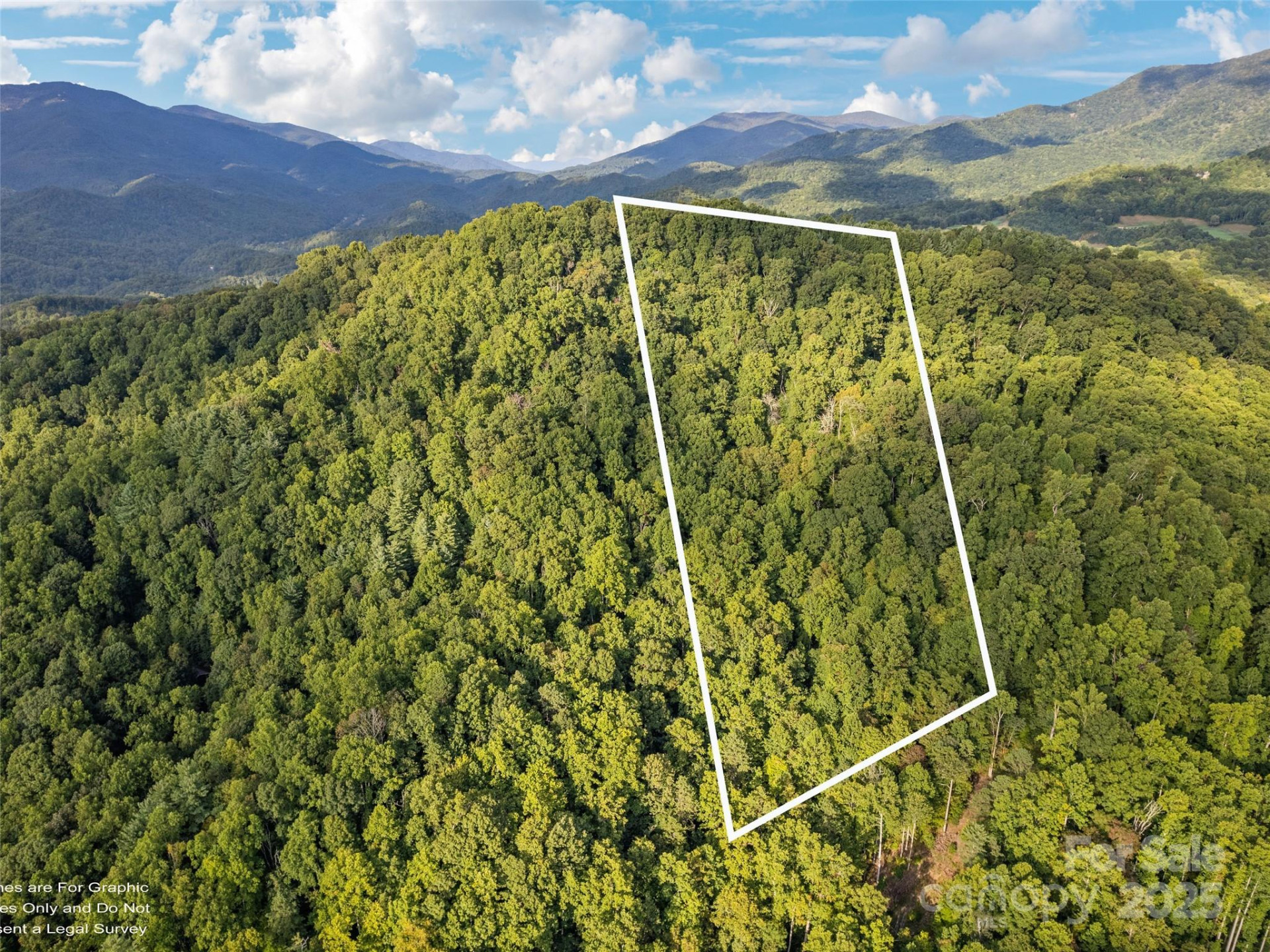 000 Crackin Chestnut Lane - Photo 5