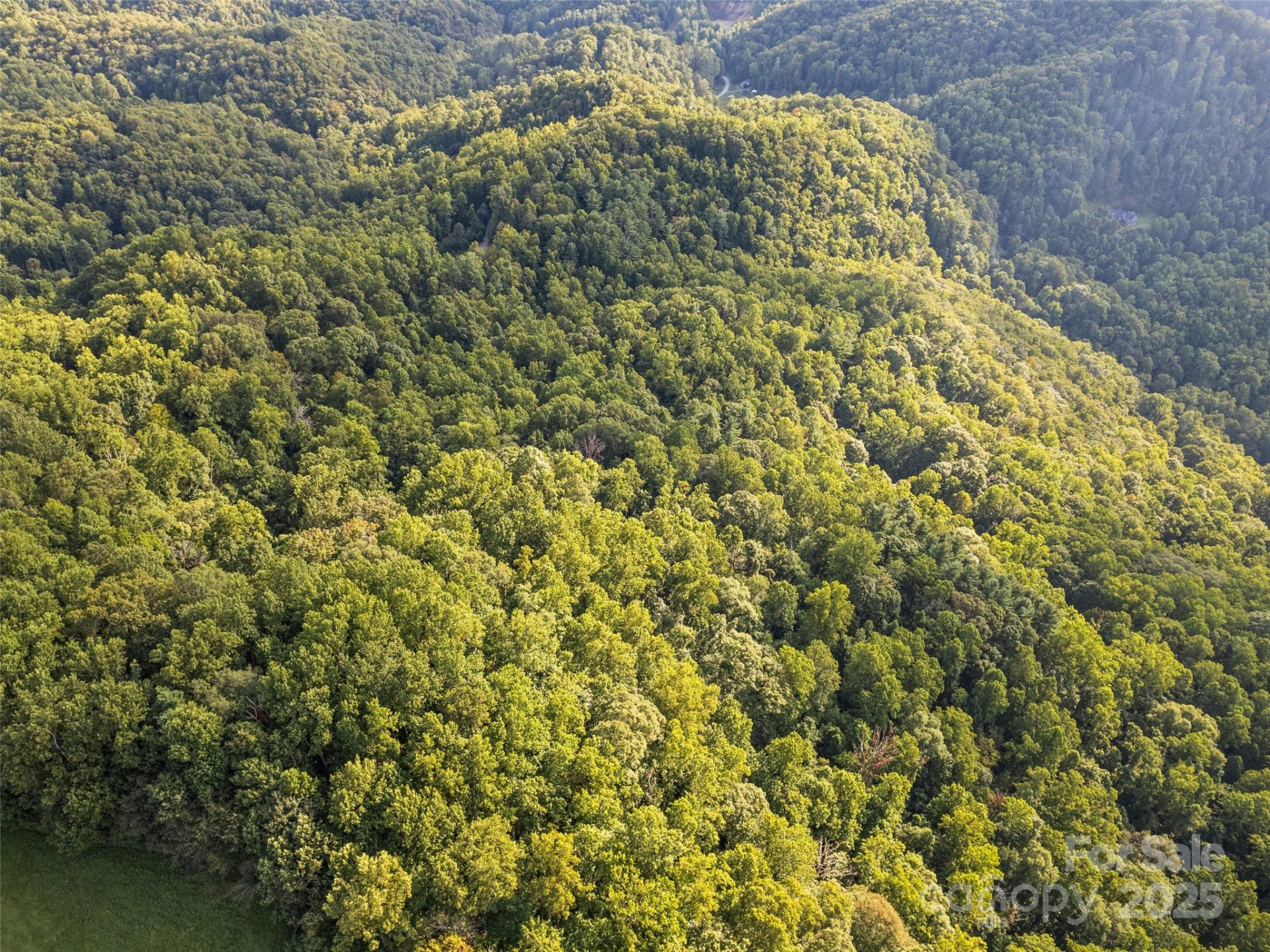 000 Crackin Chestnut Lane - Photo 6