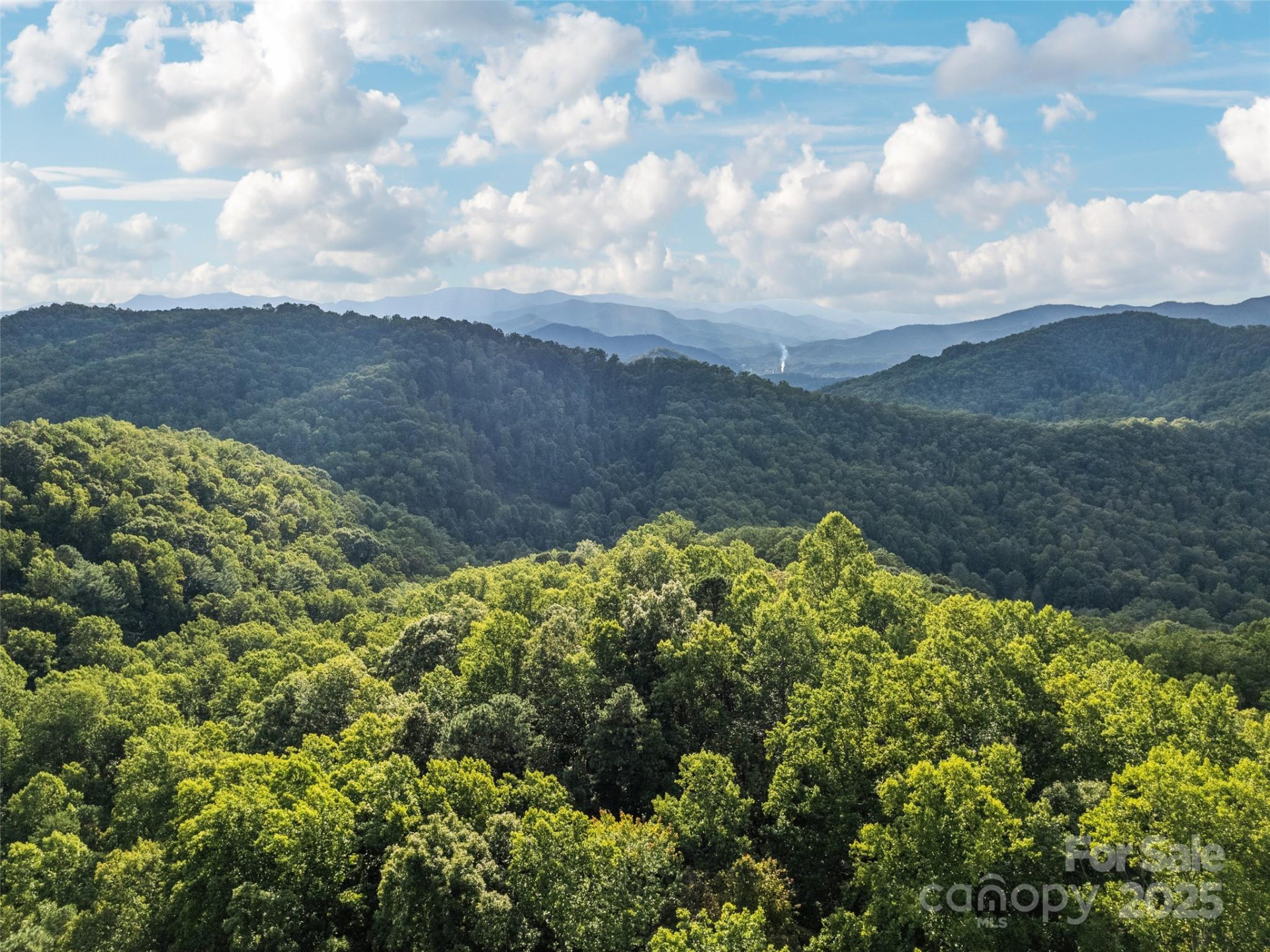 000 Crackin Chestnut Lane - Photo 7