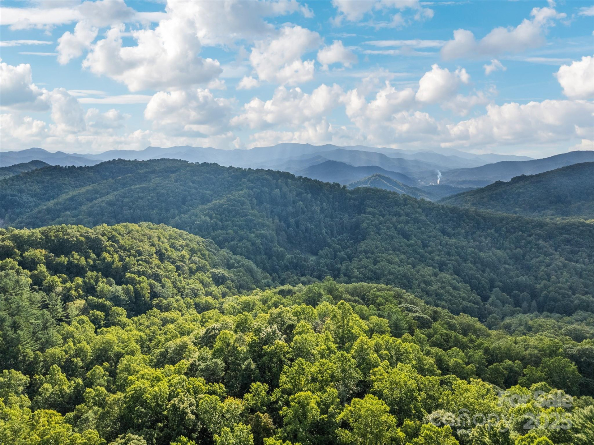 000 Crackin Chestnut Lane - Photo 8