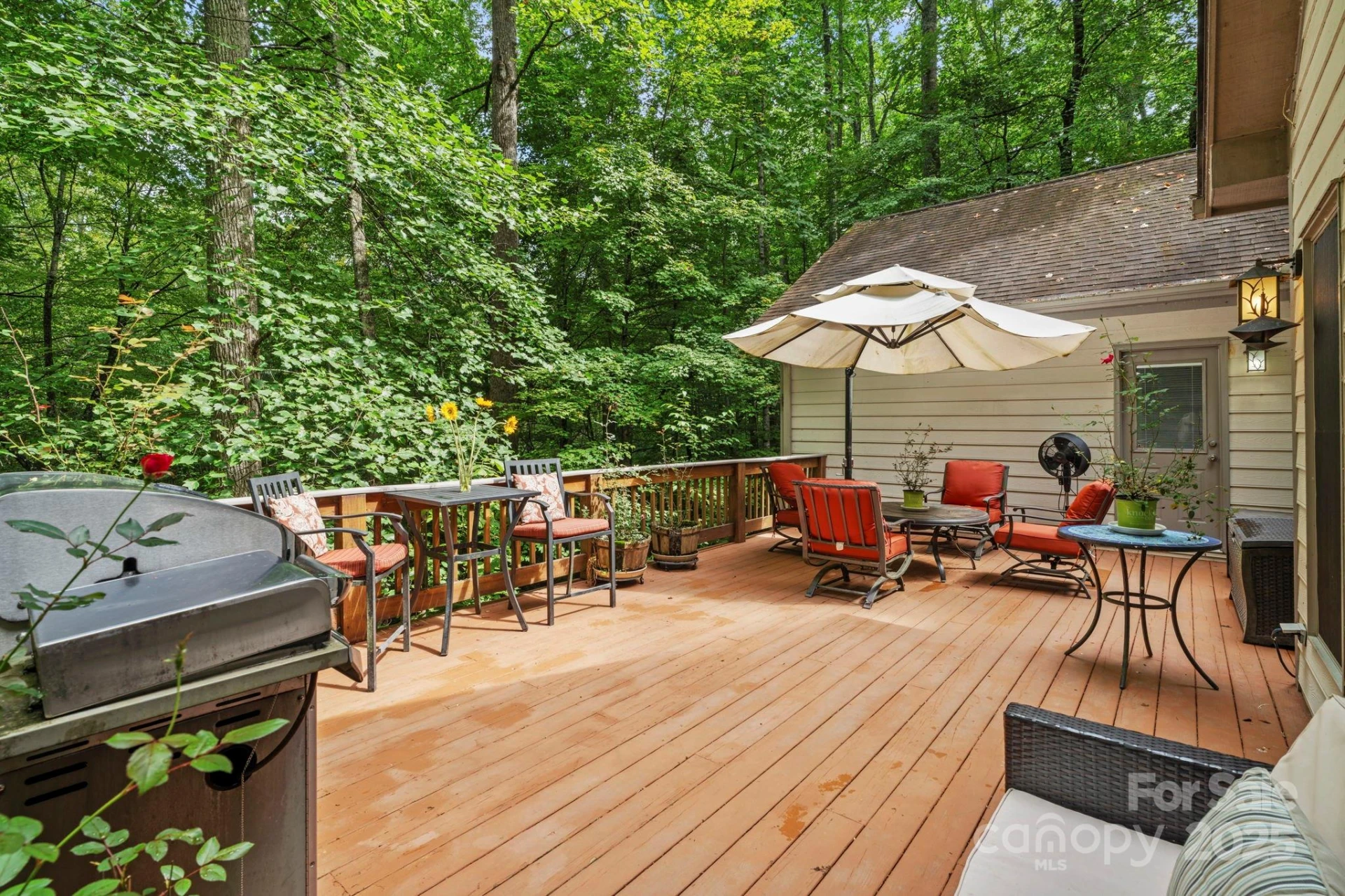458 Blue Mist Way - Photo 38