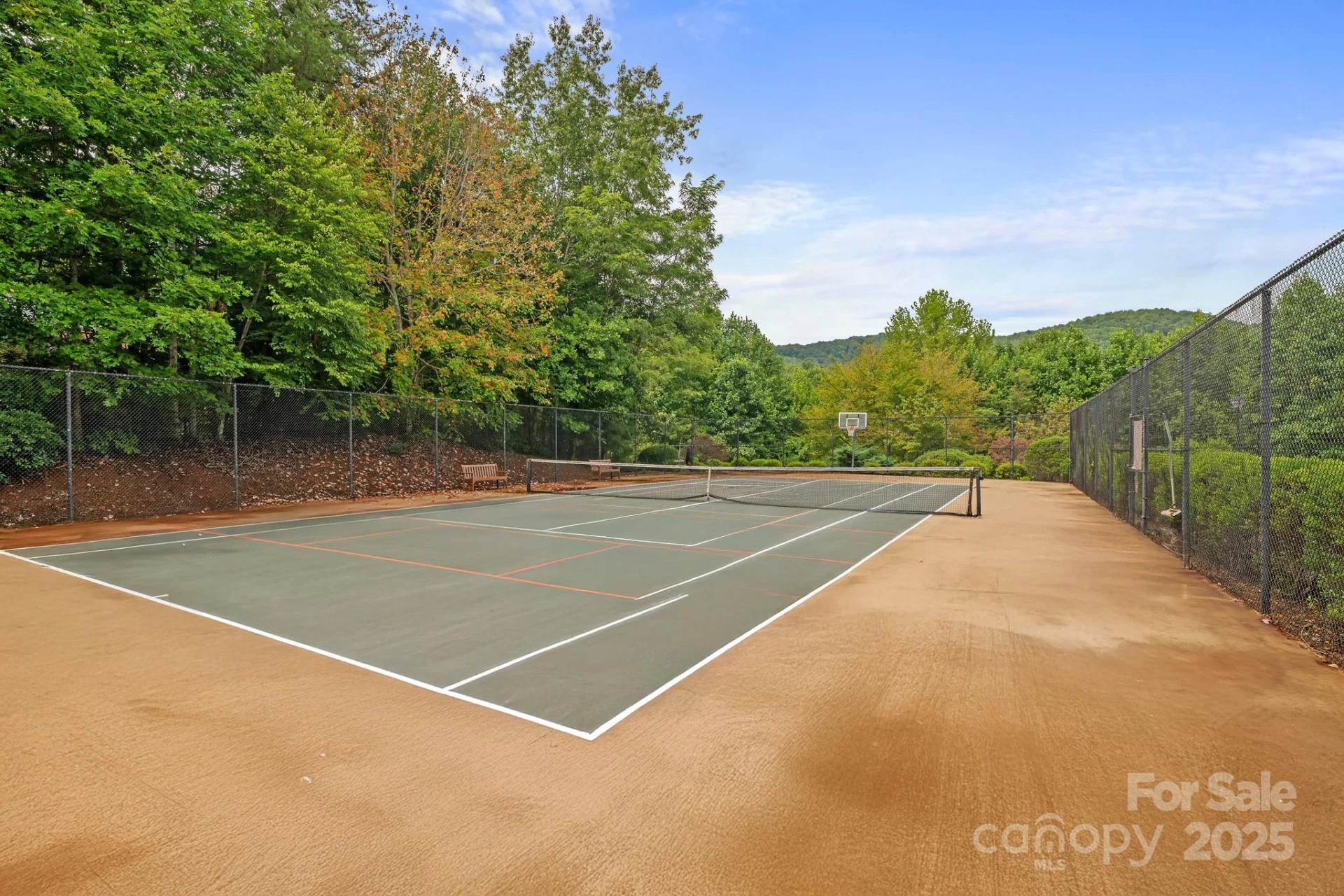 458 Blue Mist Way - Photo 45