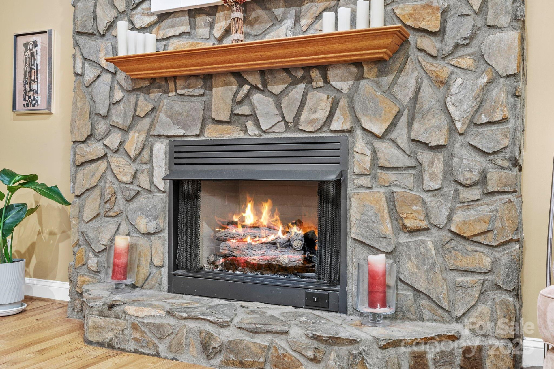 458 Bluemist Way - Photo 10