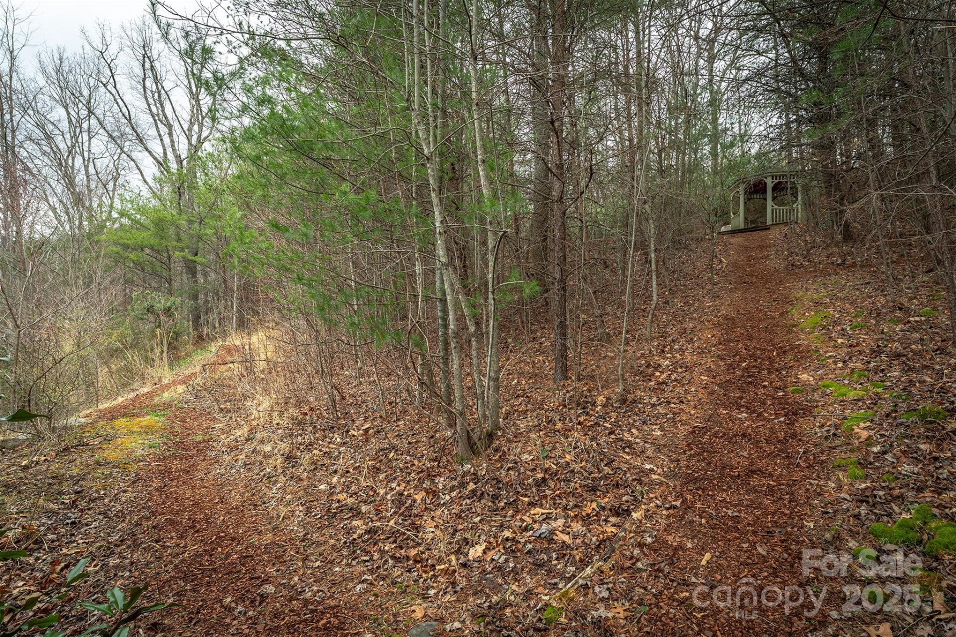 tbd Hunting Lodge Drive #9 - Photo 5