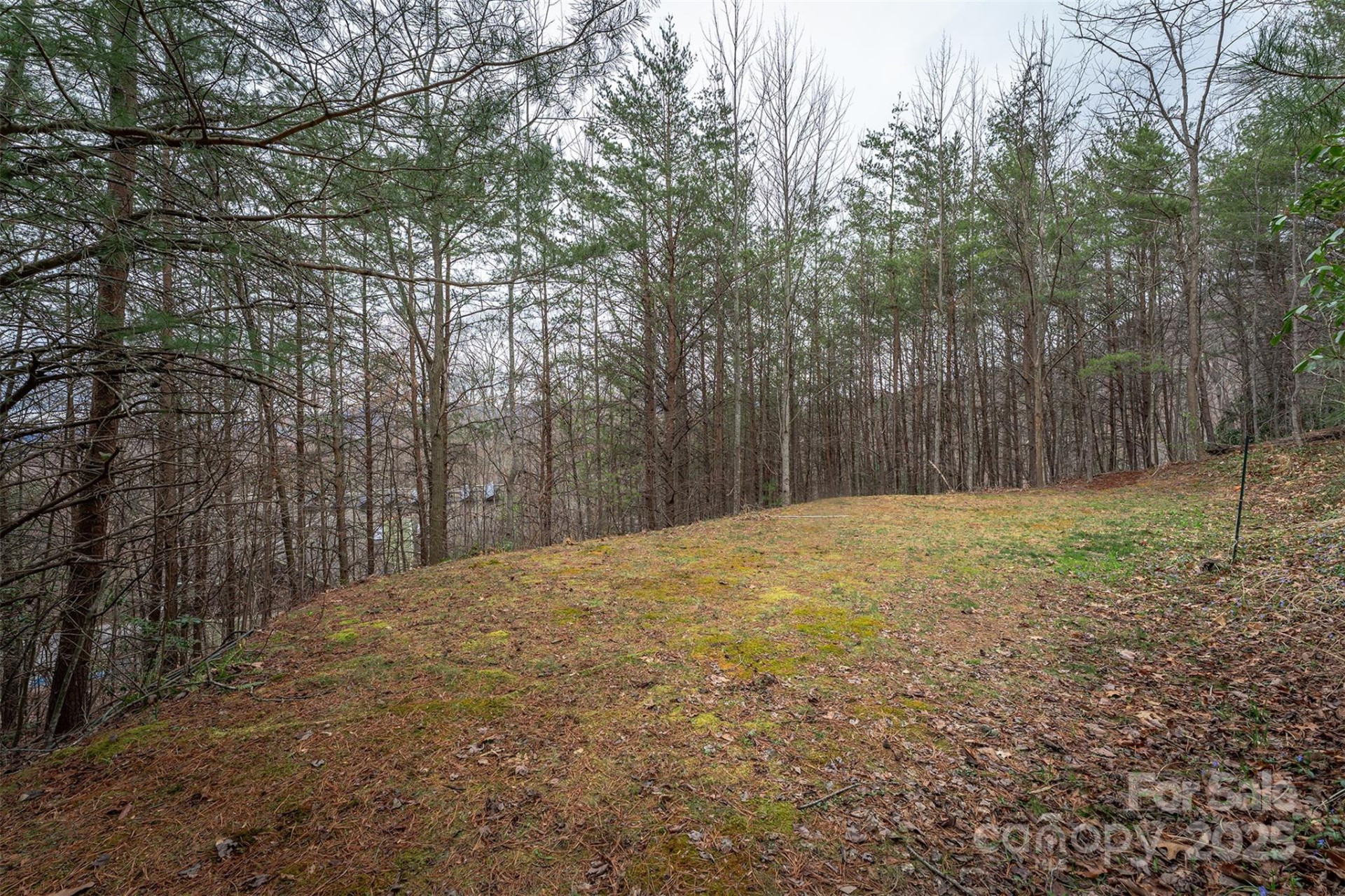 tbd Hunting Lodge Drive #9 - Photo 6