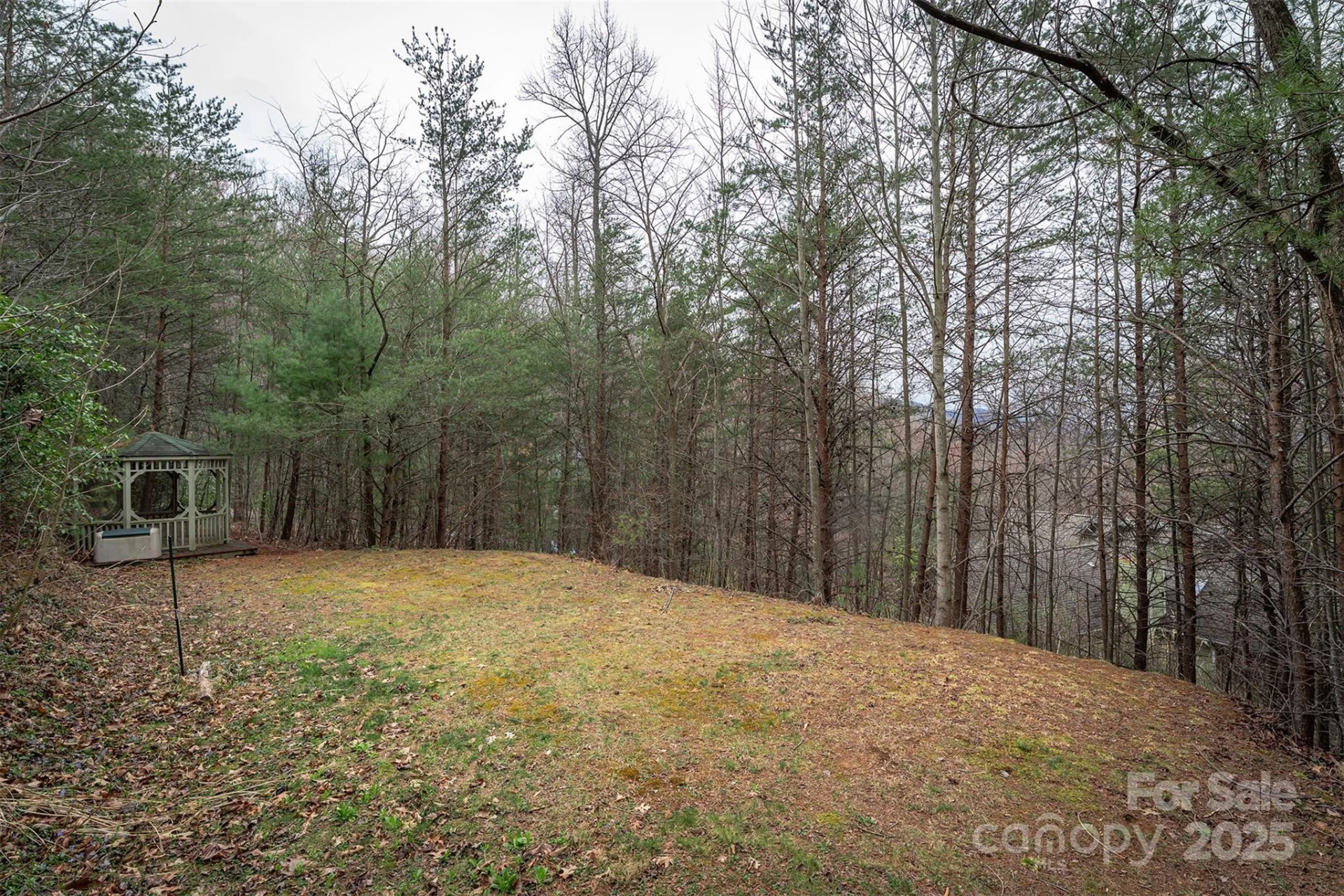 tbd Hunting Lodge Drive #9 - Photo 7