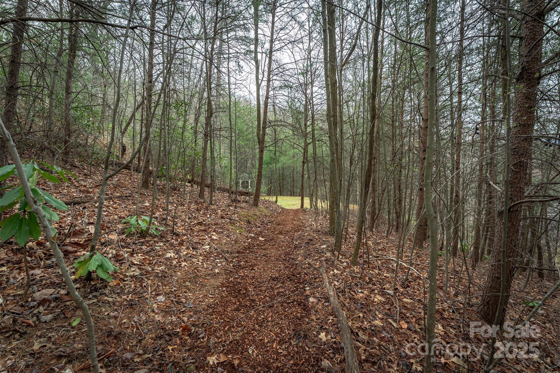 tbd Hunting Lodge Drive #9 - Photo 8