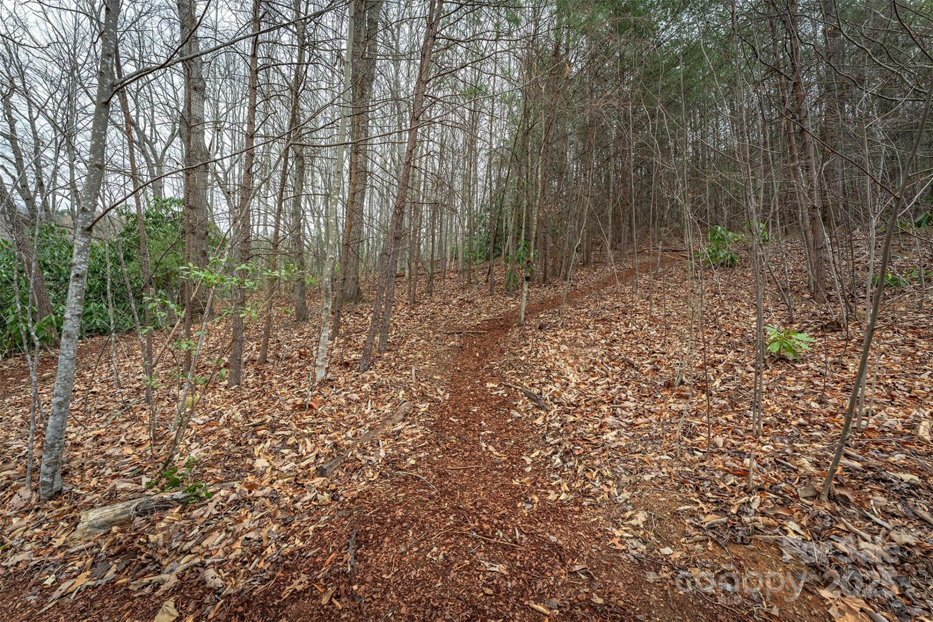 tbd Hunting Lodge Drive #9 - Photo 10