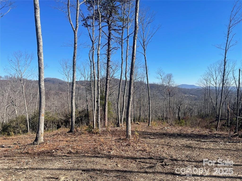 Lot 59 Mountain Grove Lane