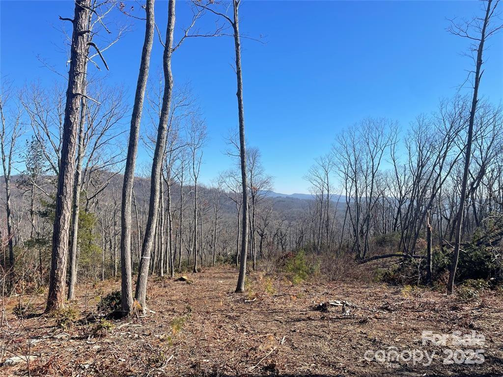 Lot 59 Mountain Grove Lane - Photo 2
