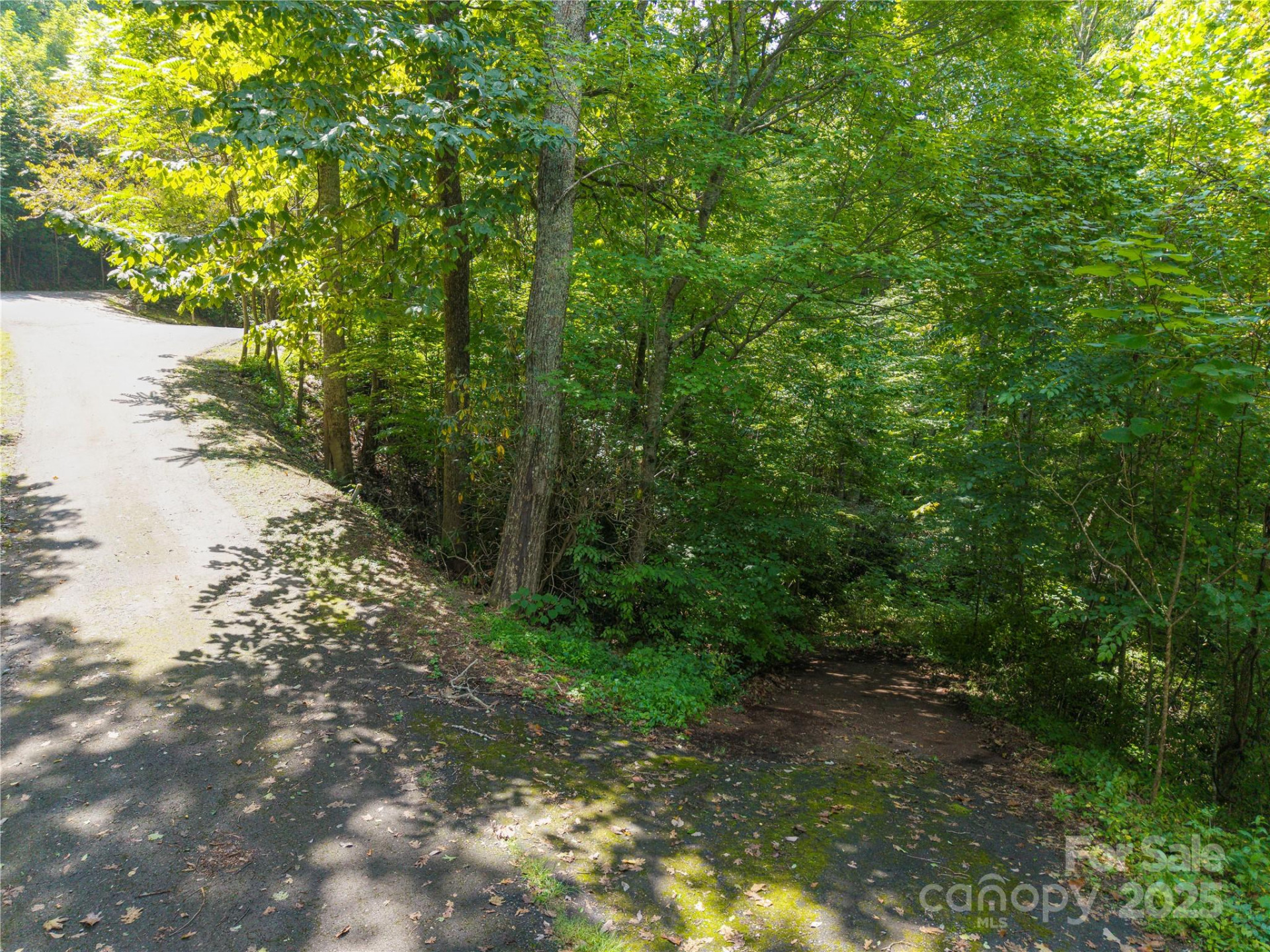 LOT 60 Chesten Mountain Drive #60