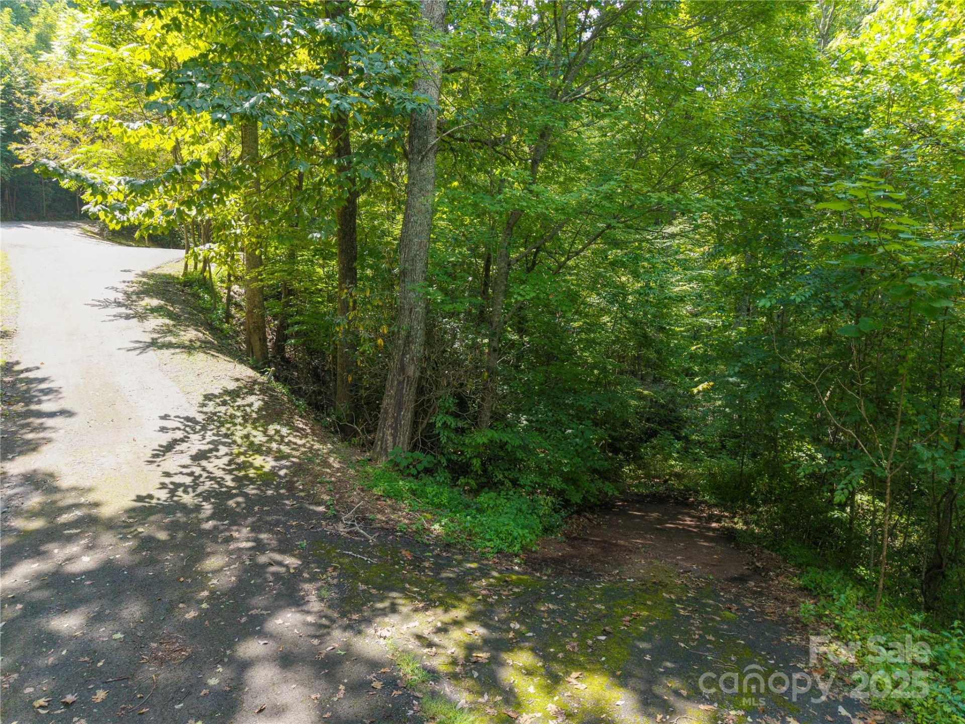 LOT 60 Chesten Mountain Drive #60