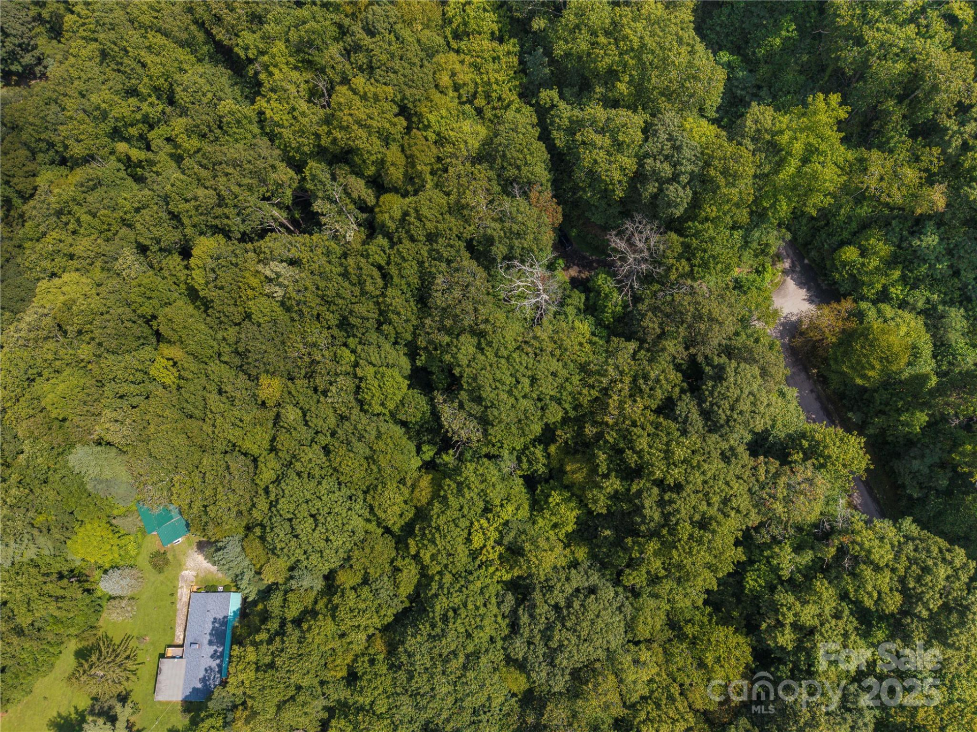 LOT 60 Chesten Mountain Drive #60 - Photo 3