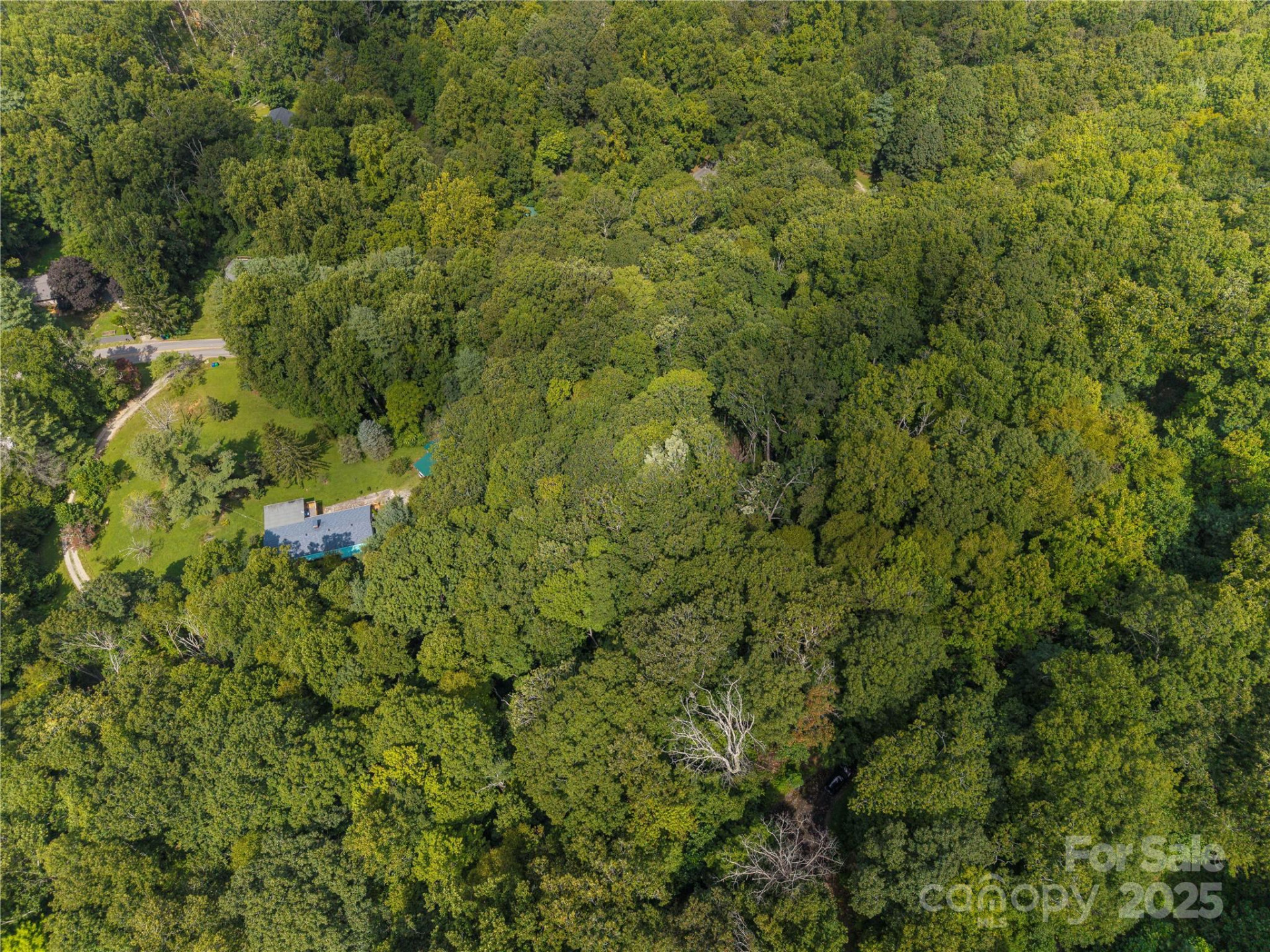 LOT 60 Chesten Mountain Drive #60 - Photo 8