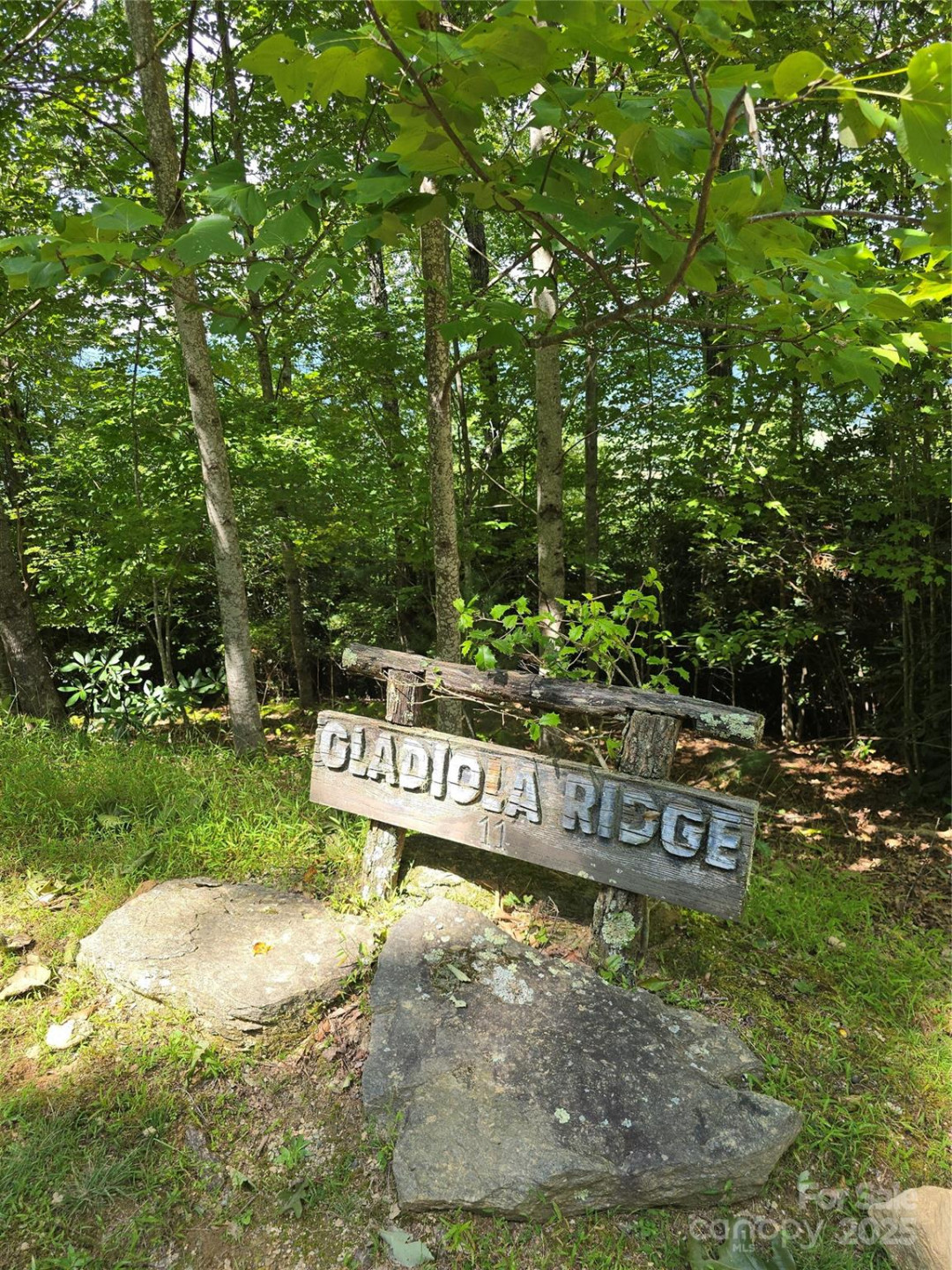 11 Reserve Road - Photo 11