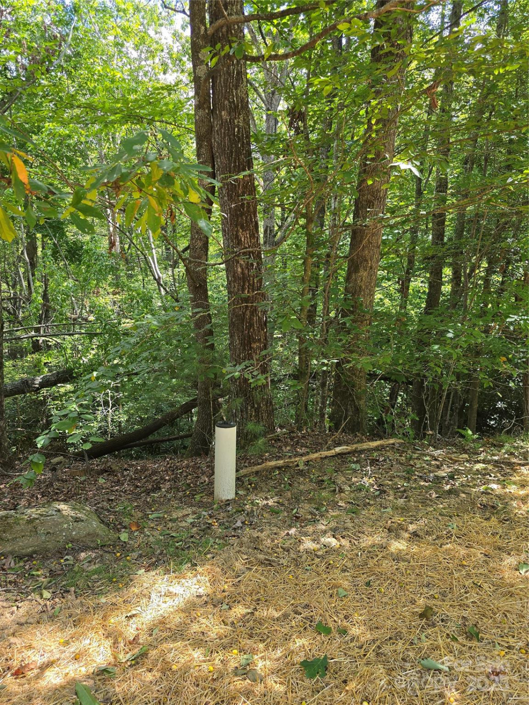 11 Reserve Road - Photo 12