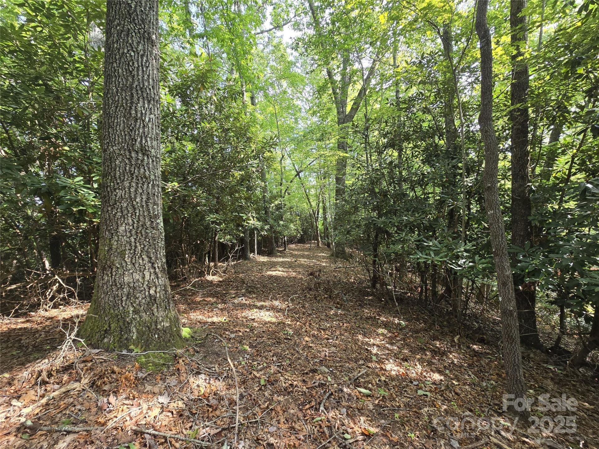 11 Reserve Road - Photo 13