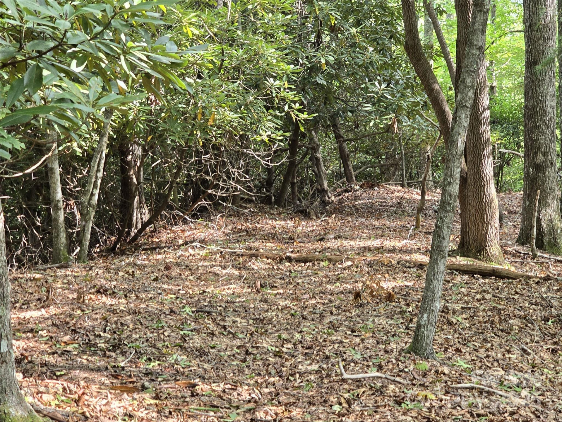 11 Reserve Road - Photo 14