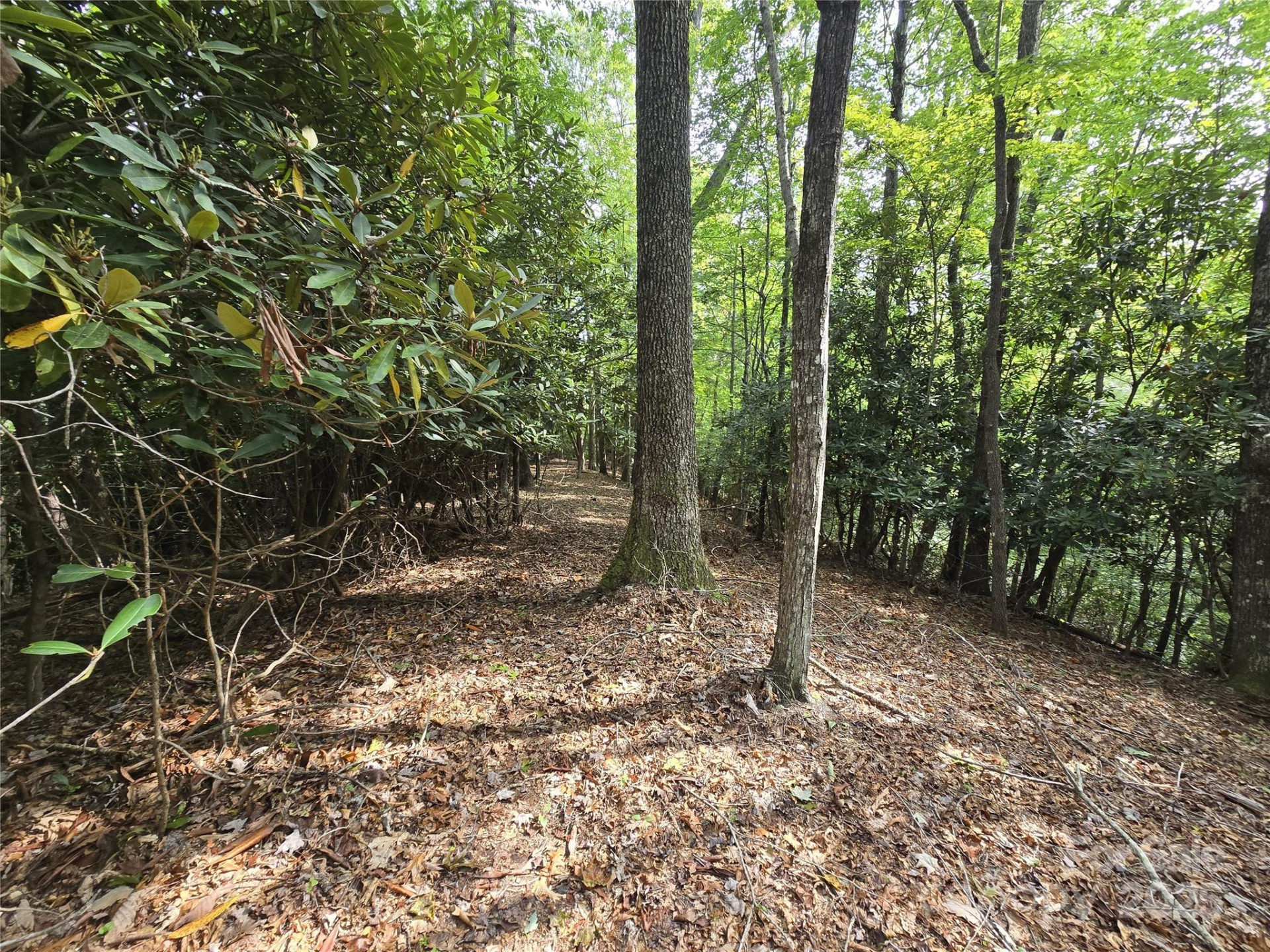 11 Reserve Road - Photo 15