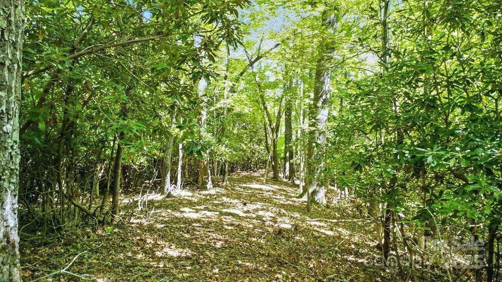 11 Reserve Road - Photo 16