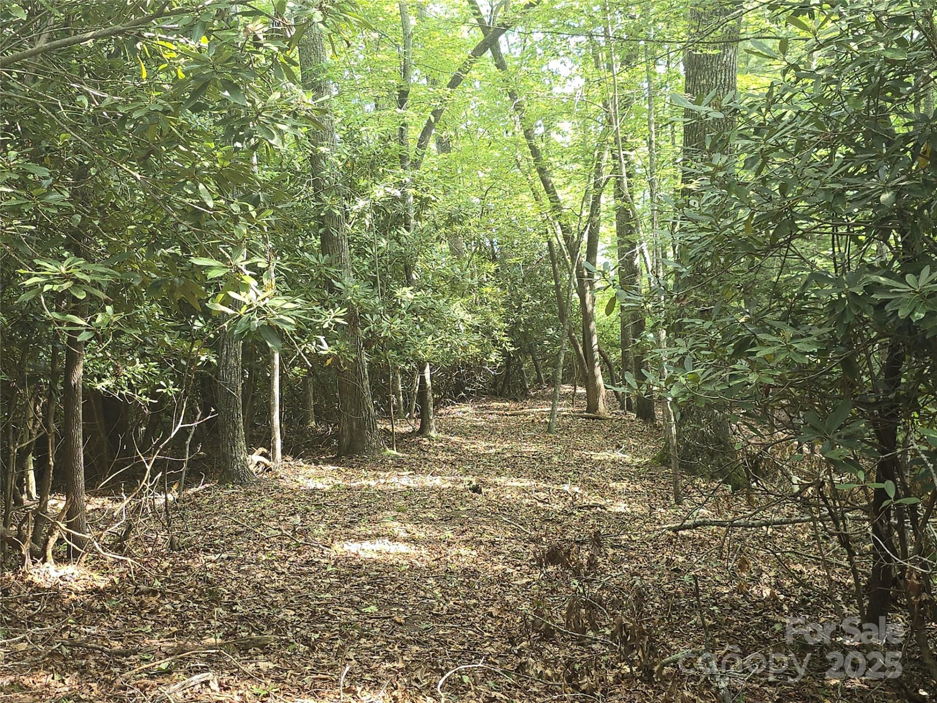 11 Reserve Road - Photo 20